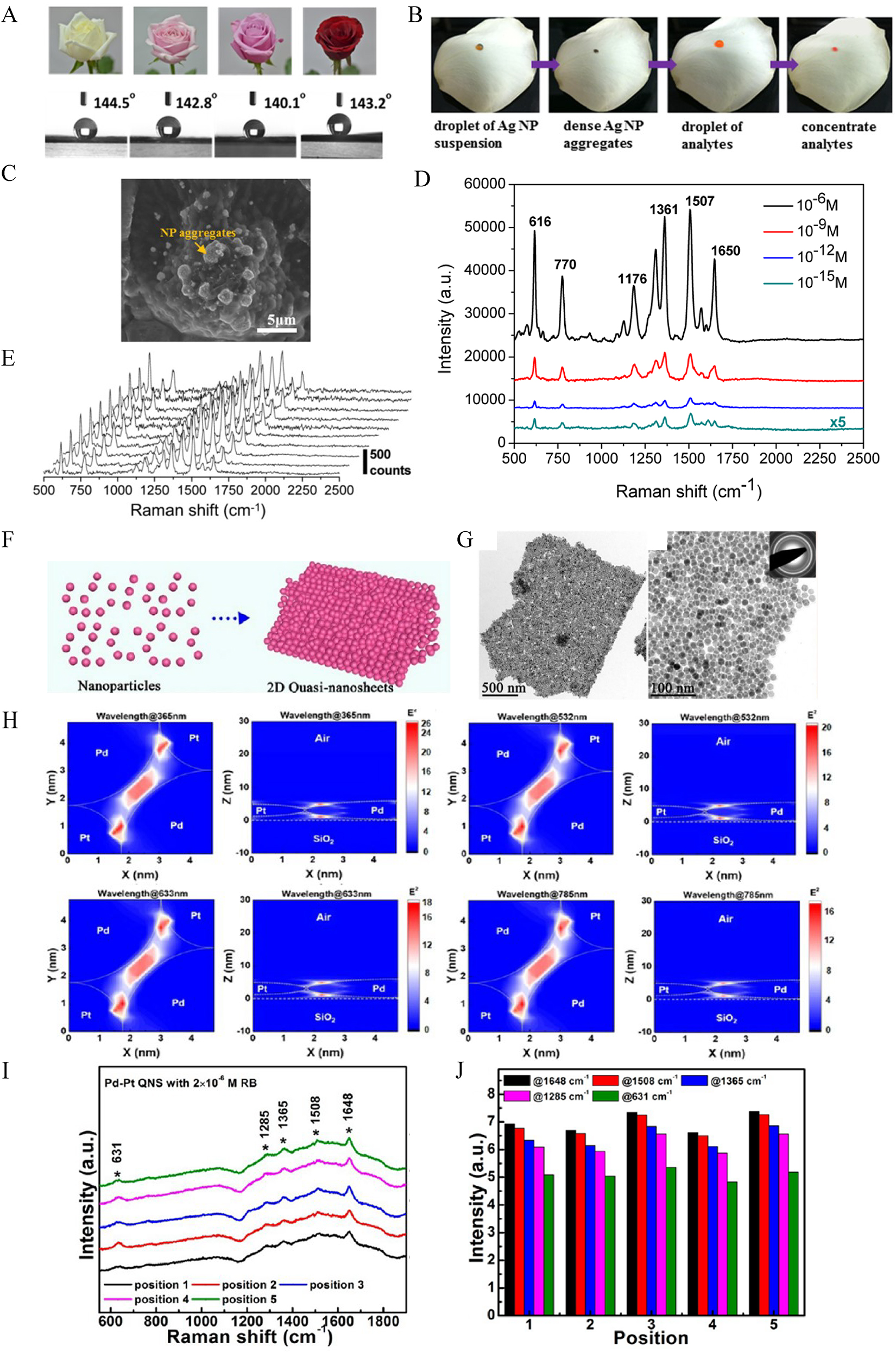 Figure 2: (A) Surface wetting property of white, pink, deep pink, and red rose petals. (B) Photographs of the process flow of Ag NPs and analytes on a white rose petal. (C) SEM image of the aggregated Ag NPs with concentrated the analytes on surface of rose petal. (D) Measured concentration-dependent Raman spectra of rose petal-based SERS substrates. (E) Reproducibility of the Raman spectra of 10−12 M analyte at 10 different positions on the rose petal-based SERS substrates [79]. Copyright 2015, American Chemical Society. (F) Schematic representation and (G) high-resolution transmission electron microscopy images of 2D QNS. (H) The electric field distributions of the light at the wavelengths of 365, 532, 633, and 785 nm propagating through the 2D Pd-Pt QNS on a glass substrate. (I, J) Measured (I) Raman spectra and (J) intensities of peak signals at 631, 1285, 1365, 1508, and 1648 cm−1 of the 2D Pd-Pt QNS at five different positions over the area of 0.25 m2 [88]. Copyright 2019, American Chemical Society.