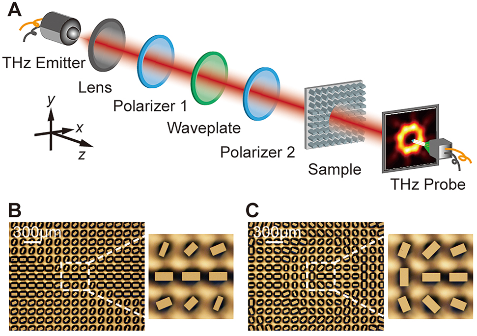 Figure 3: Schematic of the experimental setup and microscope images of the two fabricated metasurfaces. (A) The experimental setup. (B) Microscope image of the center part of the fabricated metasurface VVB generator. (C) Microscope image of the center part of the fabricated metasurface VBB generator. Both the inset scale bars represent 300 μm. Their right insets show the enlarged views of the middle nine pillars.