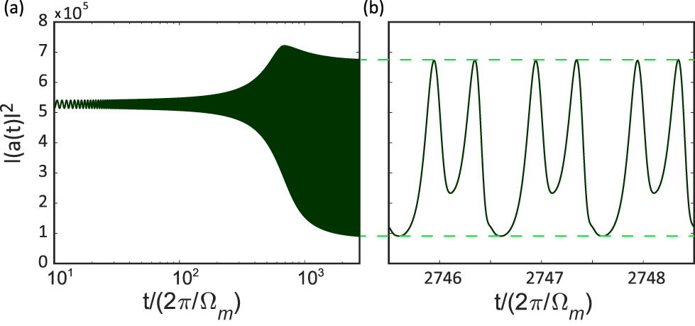 Figure 6: (a) Simulated self-induced oscillations showing the evolution of the intracavity photons versus time in logarithmic scale. (b) Close view of the saturated oscillation with a stable amplitude corresponding to the optical traces of the optical frequency comb (OFC).