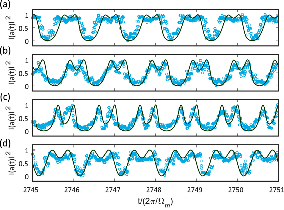 Figure 7: Comparison of the experimental (blue dots) and theoretical (solid line) temporal optomechanical (OM)-generated optical frequency comb (OFC) traces under different experimental conditions.(a) λL=1543.35 nm${\lambda }_{L}=1543.35\,\text{nm}$ (experiment) and Δ=4Ωm${\Delta}=4{{\Omega}}_{m}$ (simulation); (b) λL=1544.05 nm${\lambda }_{L}=1544.05\,\text{nm}$ (experiment) and Δ=3.4Ωm${\Delta}=3.4{{\Omega}}_{m}$ (simulation); (c) λL=1545.37 nm${\lambda }_{L}=1545.37\,\text{nm}$ (experiment) and Δ=2.4Ωm${\Delta}=2.4{{\Omega}}_{m}$ (simulation); (d) λL=1545.62 nm${\lambda }_{L}=1545.62\,\text{nm}$ (experiment) and Δ=Ωm${\Delta}={{\Omega}}_{m}$ (simulation).