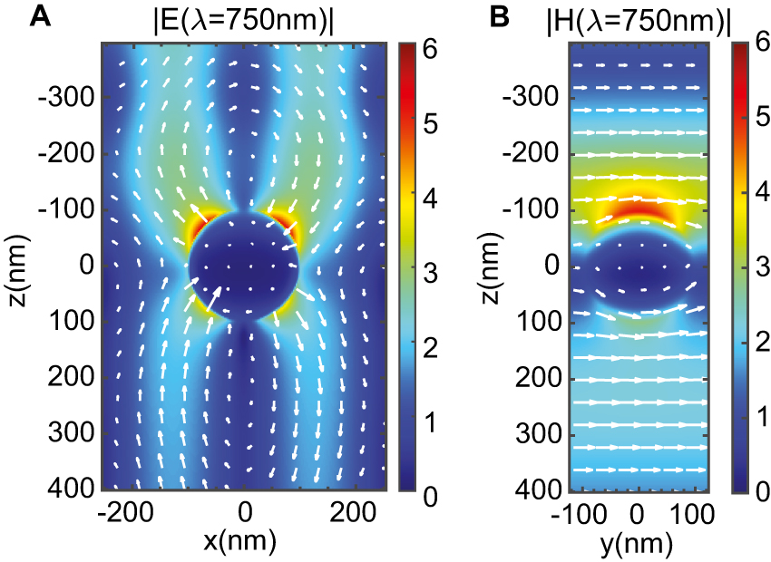 Figure 4: (Color online) (A) Electric |E| and (B) magnetic |H| field amplitudes at the fundamental wavelength. The colormap shows averaged field intensity, and white arrows show the direction of the electric field in a particular time moment. The field amplitude is normalized to the fundamental incident field.