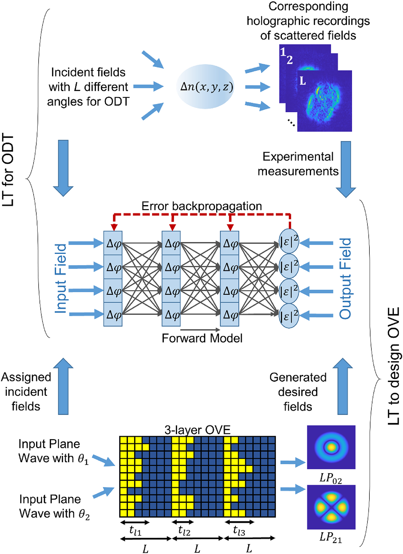 Figure 1: Optimization scheme of LT utilized in ODT and design of OVEs. Δφ$\text{{\Delta}}\varphi $ is the phase modulation of a voxel and |ε|2${\vert \varepsilon \vert }^{2}$ is the mean squared error between the reconstructed field of the computational model and the desired output field. Even though the voxels are drawn separated to make room to indicate the forward model, they are physically adjacent. A representative sketch of a 3-layer computer generated OVE is shown in the bottom part. tl1, tl2${t}_{l1},\hspace{0.17em}{t}_{l2}$, tl3${t}_{l3}$ are layer thicknesses and L$L$ is the layer separation. For LP02$L{P}_{02}$ and LP21$L{P}_{21}$, the amplitude maps are provided.