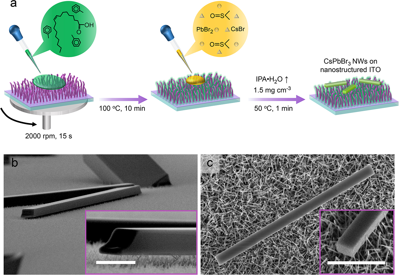 Figure 1: (a) Schematic representation of the process of perovskite NWs cultivation on nanostructured ITO substrate. (b, c) SEM images of typical CsPbBr3 micro- and nanostructures obtained for the ITO substrate covered with oleic acid (OA) from 3 (b), and 5 wt. % (c) toluene solution (scale bars are 1 μm). One can see that 3 wt. % solution gives microwires having more or less regular shape however their end facets are distorted. Increase in OA content up to 5 wt. % results in reducing the substrate wettability and evolution of the end facets shape from distorted to rectangular.