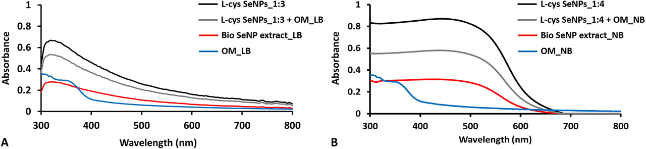 Figure 4: Absorbance spectra collected for samples containing SeNPs having ca. (A) 50 and (B) 100 nm as average diameter and their correspondent OM (i.e., OM_LB and OM_NB).