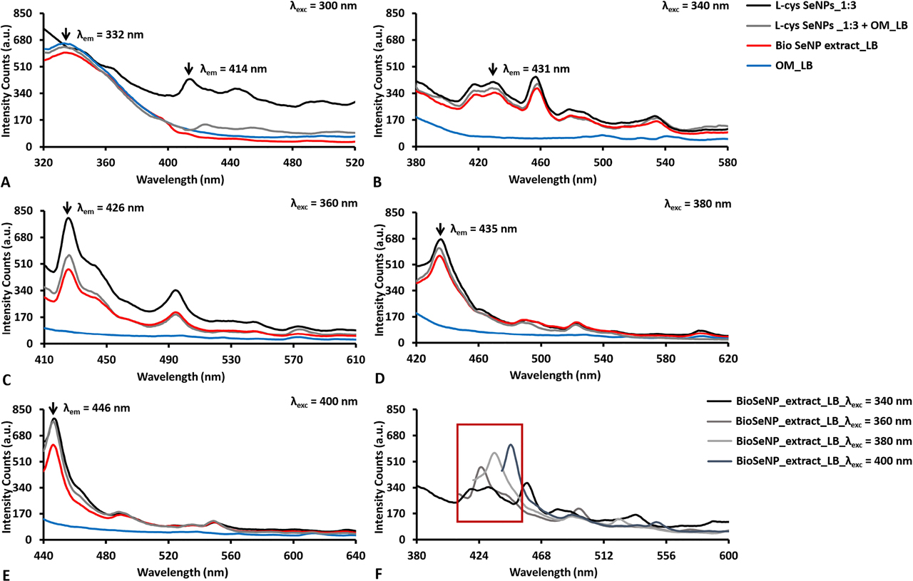Figure 5: Emission photoluminescence spectra collected for SeNPs of ca. 50 nm as average diameter (i.e., l-cys SeNPs_1:3, Bio SeNP extract_LB, and l-cys SeNPs_1:3 + OM_LB) and their corresponding OM (ie., OM_LB) upon their excitation at (A) 300, (B) 340, (C) 360, (D) 380, and (E) 400 nm. The overlap of the obtained emission spectra for BioSeNP extract_LB is reported in (F).