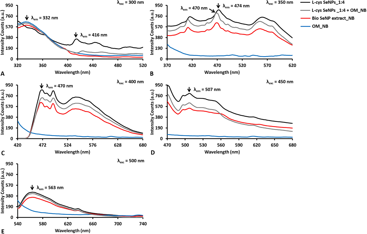Figure 6: Emission photoluminescence spectra collected for SeNPs of ca. 100 nm as average diameter (i.e., l-cys SeNPs_1:4, Bio SeNP extract_NB, and l-cys SeNPs_1:4 + OM_NB) and their corresponding OM (i.e., OM_NB) upon excitation at (A) 300, (B) 350, (C) 400, (D) 450, and (E) 500 nm.