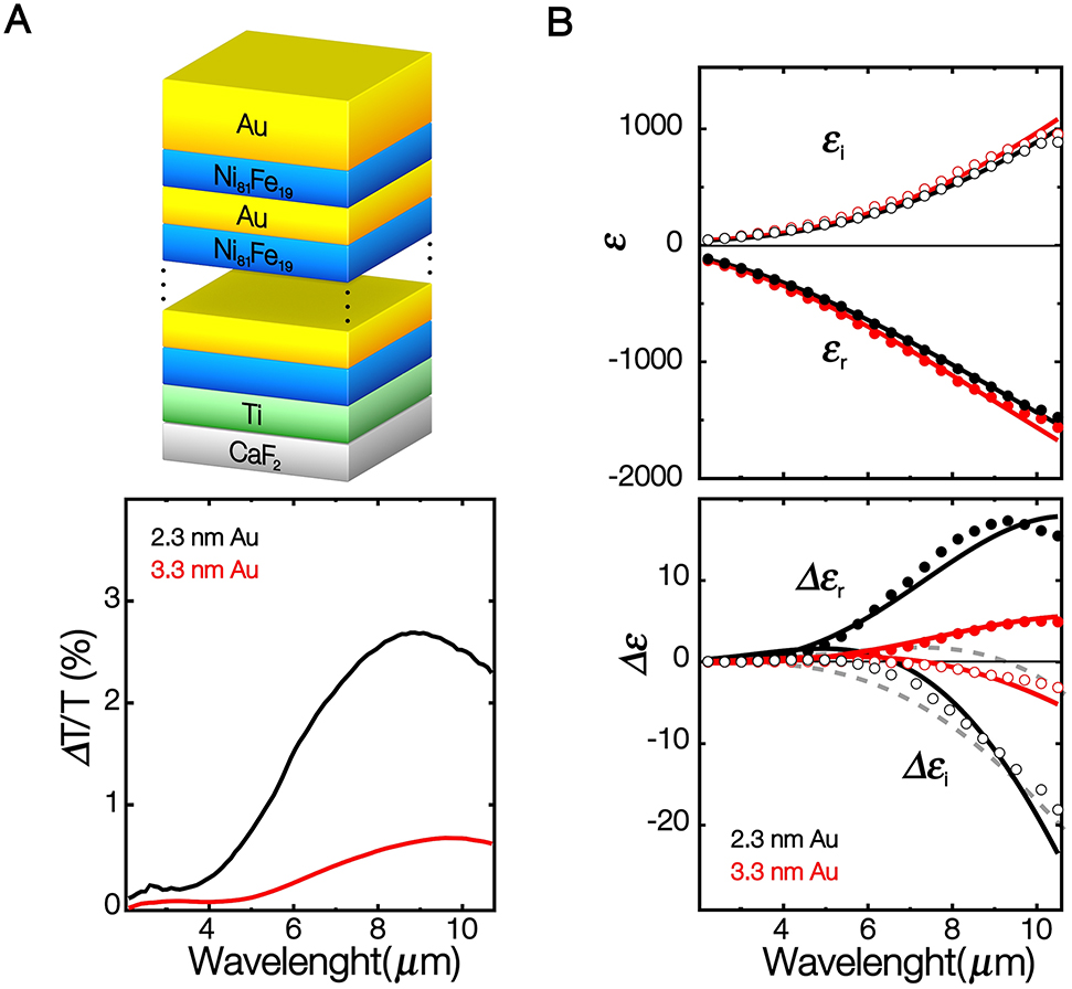 Figure 7: Schematic, MRE spectra, dielectric constant and magnetic modulation of dielectric constant in Ni81Fe19/Au multilayers with different values of GMR. (A) Upper panel. - Schema of the Ni81Fe19/Au multilayer internal structure. Lower panel. - MRE spectra (ΔT/T=(TP -TAP)/TAP) of unpolarized light at normal incidence for two multilayers with different Au thicknesses. (B) Upper panel. - Spectra of the real (full dots) and imaginary (empty dots) parts of the effective dielectric constant of the two multilayers: dots are experimental values and lines theoretical fits. Lower panel. - Spectra of the difference of the dielectric constants, Δε = εP-εAP (full dots: real part; empty dots: imaginary part) for the two multilayers. The dots correspond to experimental values, the red lines represent a theoretical fit for a multilayer with 0.8% GMR, and the gray dashed lines and black lines represent two theoretical simulations for a multilayer with 4% GMR, (see text). Adapted with permission from ref [61], © The Optical Society.