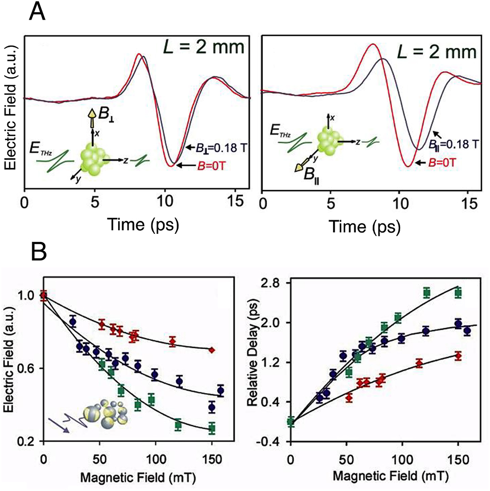 Figure 9: THz spin plasmonics in granular systems. (A) Time domain transmitted THz waveforms through a 2 mm thick sample of 74 μm Co particles for different values of the magnetic field applied parallel (right panel) or perpendicular (left panel) to the polarization of the pulse. From ref [91], https://doi.org/10.1103/PhysRevLett.96.033903, with permission. (B) Normalized THz electric field amplitude (left panel) and magnetic field induced delay (right panel) of the THz pulse transmitted through Co particle ensembles having different Au surface coverages versus magnetic field strength for a magnetic field applied parallel to the polarization of the pulse. Au surface coverage: 0% (red diamonds), 35% (blue circles) and 42%( green squares). From ref [93], https://doi.org/10.1103/PhysRevLett.98.133901, with permission.