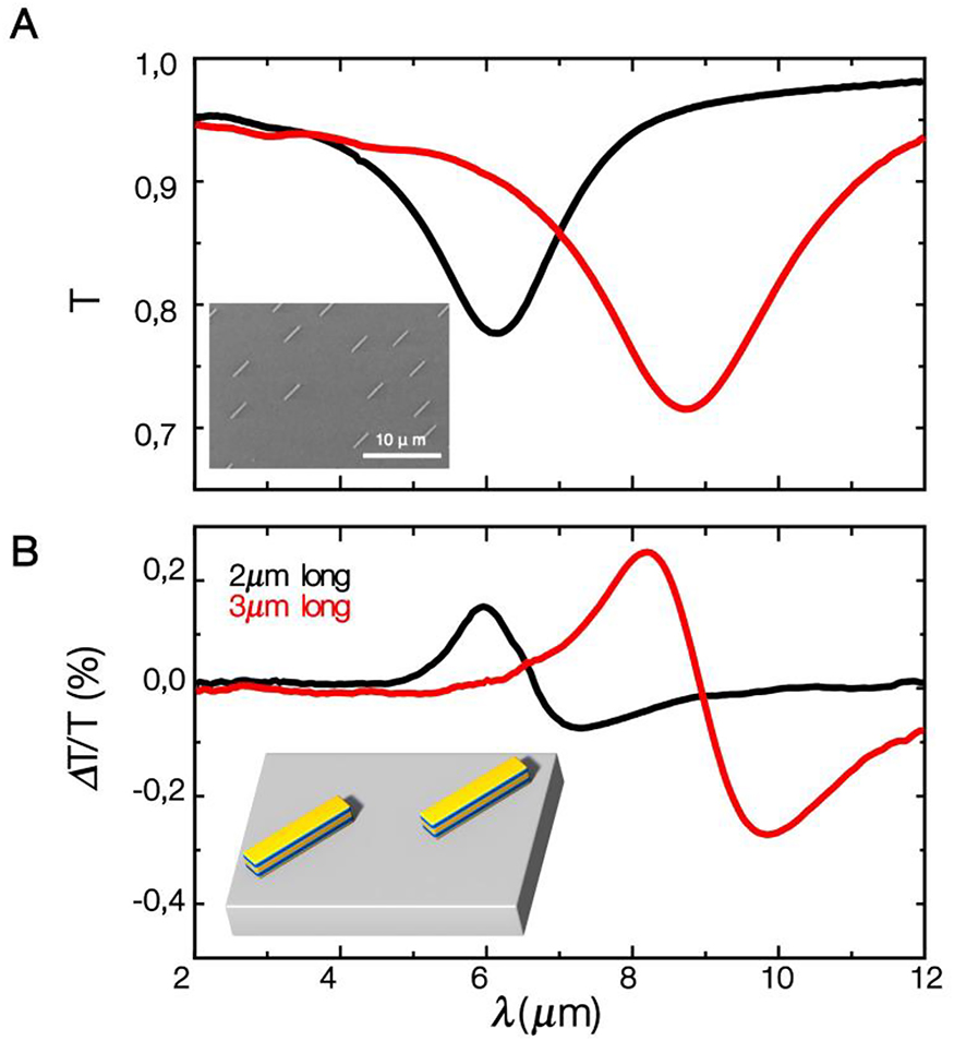 Figure 11: MRE mediated magnetic modulation of rods localized plasmons in the mid IR. (A) Transmission spectra for random arrays of rods fabricated on a Ni81Fe19/Au multilayer with 3.8 % GMR, for two different rod lengths 2 μm (black line) and 3 μm (red line), respectively. The rod width is in both cases 0.3 μm. Light is polarized along the rod long axis and the dips in the transmission correspond to the excitation of the rod localized plasmon resonance. The inset shows an SEM image of the 3 μm rod array. (B) MRE spectra (ΔT/T=(TP-TAP)/TAP) for the same rod arrays (black line: 2 μm long rods, red line: 3 μm long rods). Light is polarized along the rod long axis. The spectra show a derivative like features at the position of rod resonances. The inset shows a schema of the Ni81Fe19/Au multilayer rods.