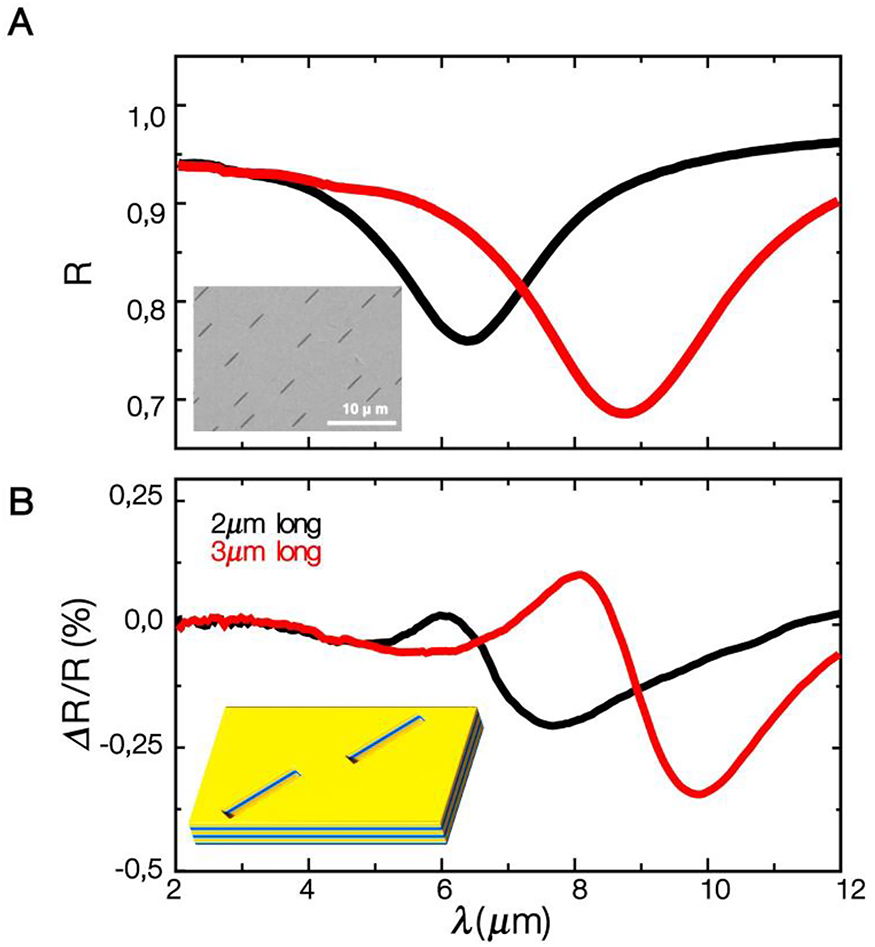 Figure 12: MRE mediated magnetic modulation of slits localized plasmons in the mid IR. (A) Reflectivity spectra for random arrays of slits fabricated on a Ni81Fe19/Au multilayer with 3.8 % GMR, for two different slit lengths 2 μm (black line) and 3 μm (red line), respectively. The slit width is in both cases 0.3 μm. Light is polarized perpendicular the slit long axis and the dips in the reflectivity correspond to the excitation of the slit localized plasmon resonance. The inset shows an SEM image of the 3 μm slit array. (B) MRE spectra (ΔR/R=(RP-RAP)/RAP) for the same slit arrays (black line: 2 μm slit length, red line: 3 μm slit length). Light is polarized perpendicular to the slit long axis. The spectra show a derivative like feature at the position of slit resonance superimposed to a broad band originated from the multilayer. The inset shows a schema of the slits fabricated on a Ni81Fe19/Au multilayer.