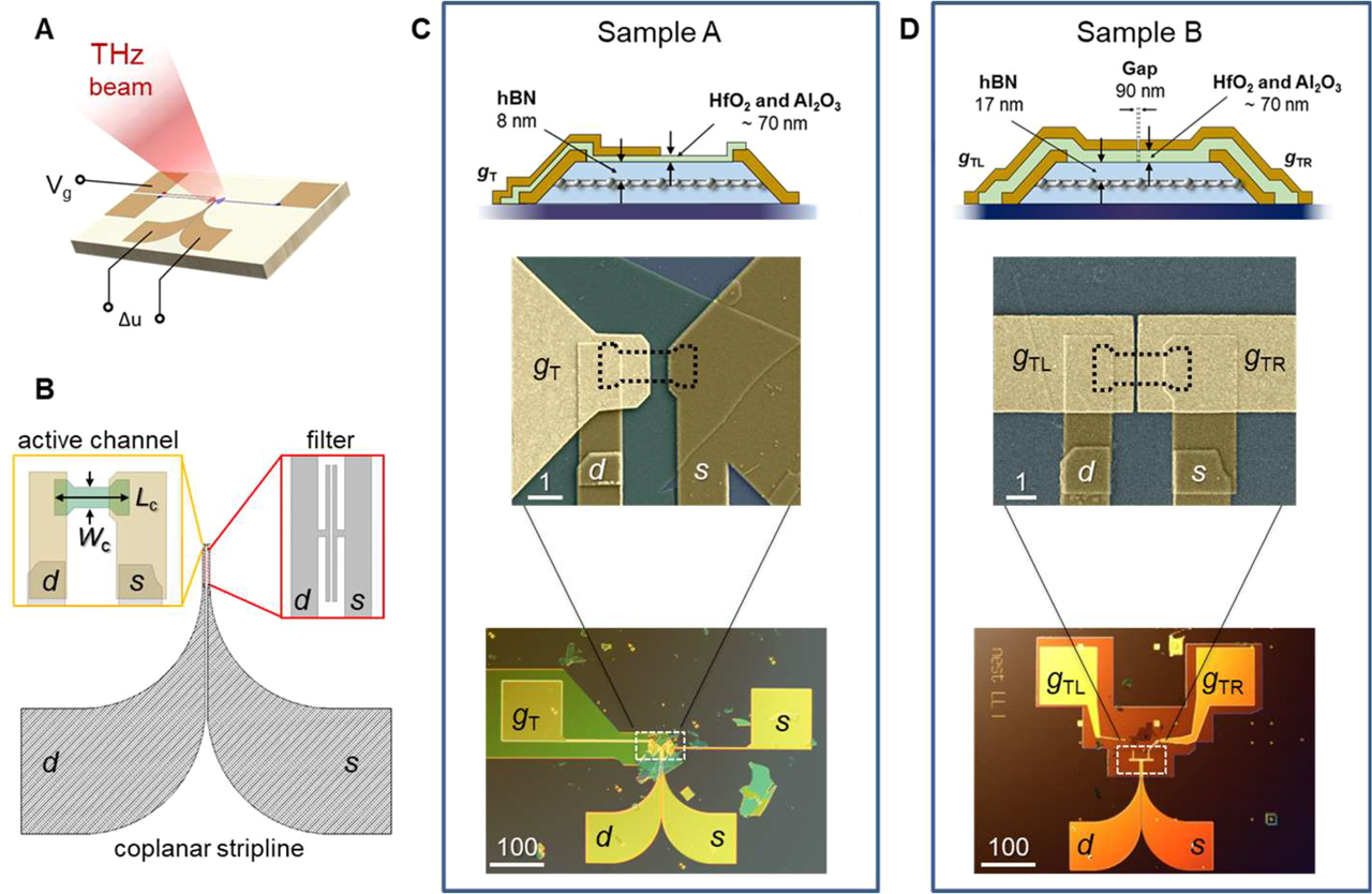 Figure 1: Detector layout. (A) Photodetector schematics: THz radiation is coupled to the GFET by a planar antenna and the photoresponse is recorded as a dc photovoltage (Δu) between the s and d electrodes. (B) On-chip RF components. The s and d electrodes are shaped in CPS geometry. Inset (left): the shape of the active LMH channel (green area) guarantees a lower contact resistance with respect to a rectangular geometry. The s and d contacts have a thickness of 45 nm in proximity of the GFET channel (yellow areas) and a thickness of 140 nm far from the GFET channel. Inset (right): planar low-pass filter, with cut-off frequency 300 GHz. (C) Sample A. Top: schematics of the LMH and electrodes layout, highlighting the different layer thicknesses. False color SEM image of the top-gated GFET (center) and optical microscope overview (bottom), where the bow-tie antenna position is marked with a dashed box. (D) Sample B. Top: schematics of the LMH and contacts design. False color SEM image of the GFET showing the split-top-gate geometry with the 90 nm gap (center) and optical microscope overview (bottom), where the position of the planar dipole antenna is marked with a dashed box. All scale bars are in units of micron.