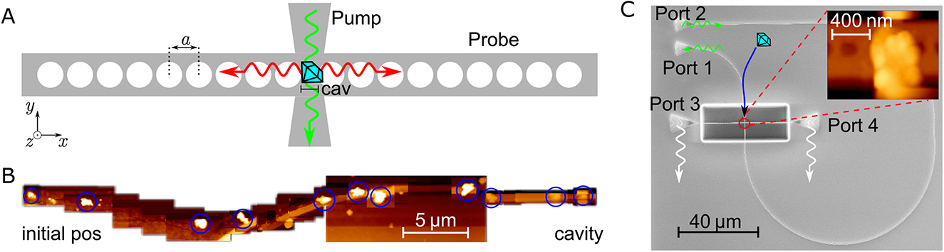 Figure 1: Nanopositioning of ND within cavity mode. A The periodic change a of the material on both sides of the probe waveguide lead to a photonic band gap, while the cavity is formed by the distance cav. The positioned ND can be evanescently excited through the pump waveguide. B AFM images during nanopositioning of SiV− ensemble into PCC. The distance of the initial position was approximately 40 µm to the final position on top of the cavity. C SEM image of the PCC. The device has four grating couplers – two for coupling of green light (port 1 and 2) to off-resonantly excite the emitter in the interaction zone – and two grating couplers (port 3 and 4) for collecting the emission of the cavity system. The inset shows an AFM image of the ND ensemble placed in the interaction zone.