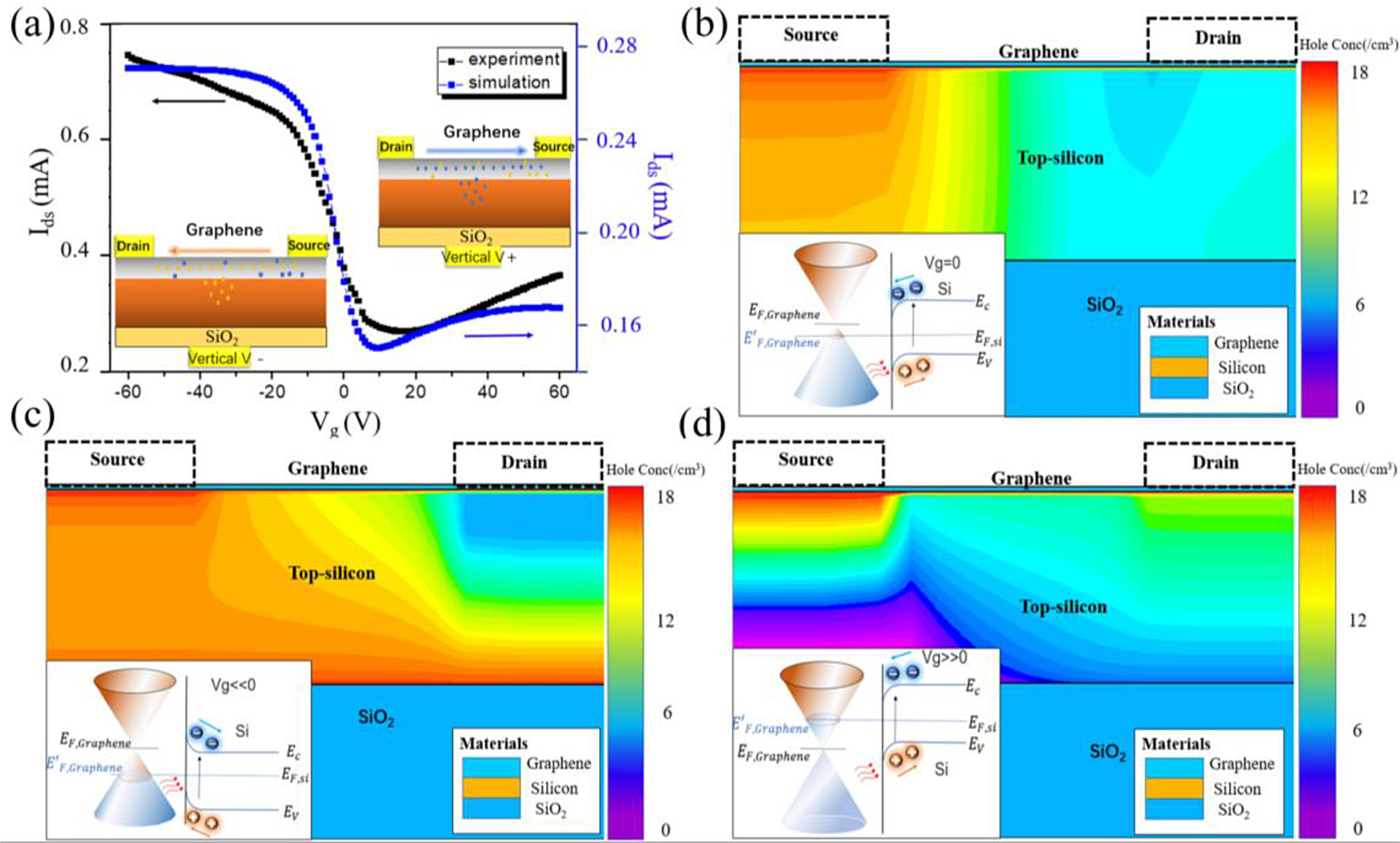Figure 3: (a) Experimental (black line) and simulated (blue line) transfer characteristics in the dark state. The insets are the corresponding schematic views of the carrier transport under the positive and negative voltages. (b)–(d) Simulated holes distribution in silicon when Vg = 0, −30 and 30 V. Insets are the energy band diagrams.
