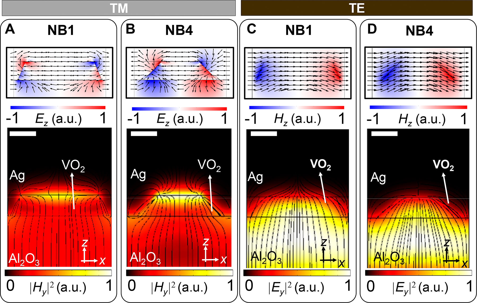 Figure 3: Nanoscopic mechanisms of the resonant near-unity absorptions: subwavelength light funneling into the metafilms.Electromagnetic field profiles of (A, C) NB1 and (B, D) NB4 devices are numerically investigated at the resonances in the insulating phase for (A, B) TM and (C, D) TE illumination, respectively. Upper figures show the (A, B) Ez and (C, D) Hz, with the normalized black vector arrows of (a, b) displacement current and (c, d) magnetic field, respectively. Lower figures show normalized electromagnetic field profiles of (A, B) |Hy|2 and (C, D) |Ey|2. Black lines in the lower figures depict the flow of Poynting vectors coming from the free space of Al2O3 substrate to the PCMA structures. The scale bars correspond to 60 nm.