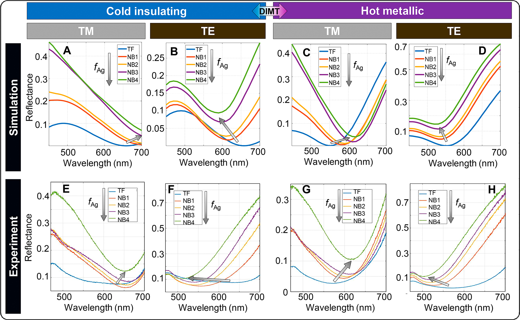 Figure 4: Effects of Ag nanobeams on the dynamic modulation range.Polarization and temperature dependent reflectance spectra of the PCMAs with varying fAg (0, 0.17, 0.23, 0.34, 0.4) obtained from (A–D) simulations and (E–H) experiments. (A, B, E, F) present polarization dependent spectra at the cold insulating phase of VO2 while (C, D, G, H) present those at the hot metallic phase of VO2. (A, C, E, G) and (B, D, F, H) show reflectance under TM and TE polarized normal illumination cases, respectively. The legend, TF, refers to the case of intrinsic thin film VO2 without Ag embedding (the Gires-Tournois VO2 abosrber case when fAg is zero). The direction of gradually colored arrows in (A-H) imply the increase of fAg.