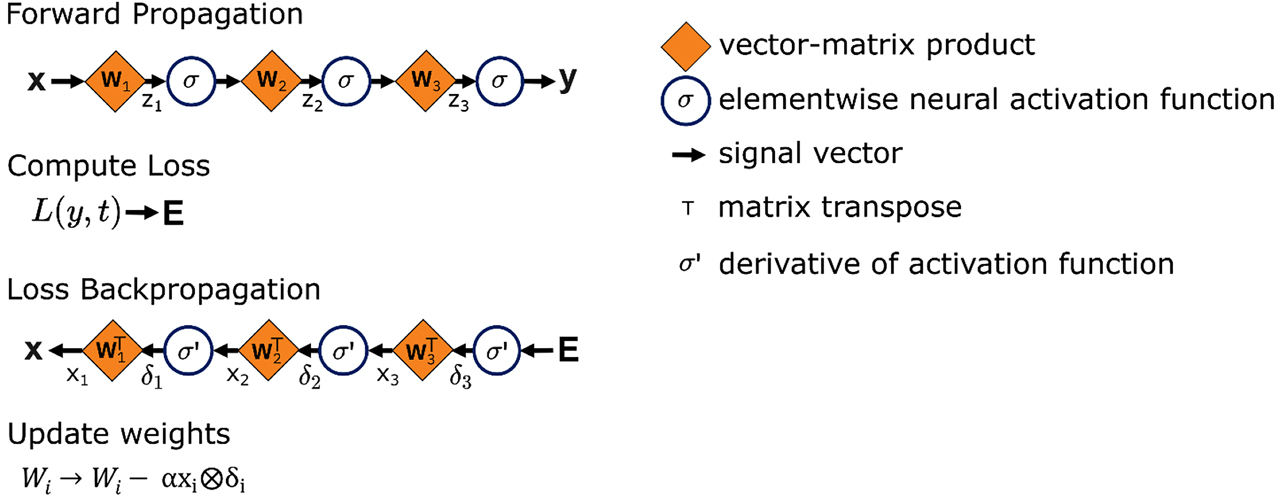 Figure 7: Illustration of forward- and backpropagation through a feedforward neural network with two hidden layers (similar to Fig. 3b) for training of the network weights. To train the network many training samples x with target output t are forward propagated through the network and the resulting output y are stored. Next, the loss which describes the error between the output y and the desired output is computed. Using backpropagation, we compute the error signals δi${\delta }_{i}$ for each layer for all training samples. The weight updates are averaged over all training samples. This procedure is repeated iteratively until the loss is minimized.