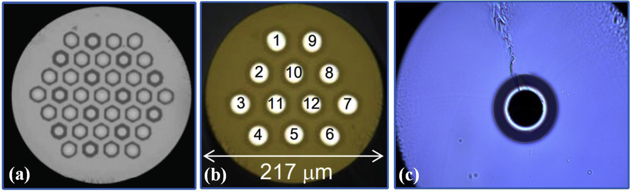 Figure 20: Optical microscope photo of (a) MCF with single-mode 37 cores [237]; (b) FM-MCF with 12 hexagonally arranged 10-mode cores [240]; (c) OAM fiber supporting 36 OAM states [243]. MCF, multicore fibers; FM-MCF, few-mode multicore fiber; OAM, orbital angular momentum.