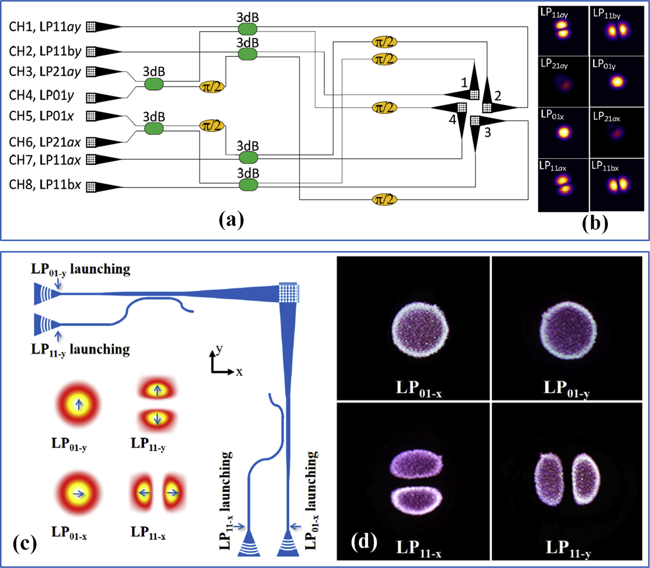 Figure 21: (a) Schematic of a mode multiplexer using a grating coupler array and (b) its generated modes observed after transmission through a 5-m long FMF that supports only LP01 and LP11 modes [244]. (c) Schematic of a 2D grating coupler–based multiplexer and (d) its generated mode profiles measured after fiber transmission [245]. FMF, few-mode fiber.