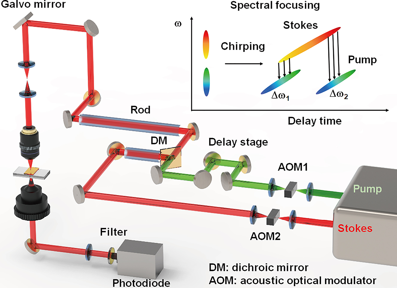 Figure 3: Schematic of spectral-focusing hyperspectral stimulated Raman scattering (SRS) microscope for stimulated Raman loss (SRL) and stimulated Raman gain (SRG) measurement.