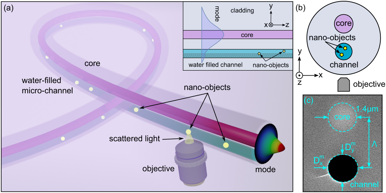 Figure 1: The concept of three-dimensional (3D) tracking of nano-objects inside a water-filled modified graded index fiber. (a) Illustration of the concept (light blue: water-filled microchannel, red: optical core). The yellow elements represent the nano-objects. The inset is a sketch of the fiber cross-section within the yz-plane showing the modal intensity distribution of the core mode along the y-direction. The intensity based y-position retrieval can be achieved in the highlighted channel region (nondashed area). (b) Sketch of fiber cross-section (xy-plane) and experimental configuration (i.e., relative orientation of core, microchannel and microscope objective) used for 3D tracking. (c) Scanning electron micrographic (SEM) image of the cross-section of the implemented microstructured fiber.