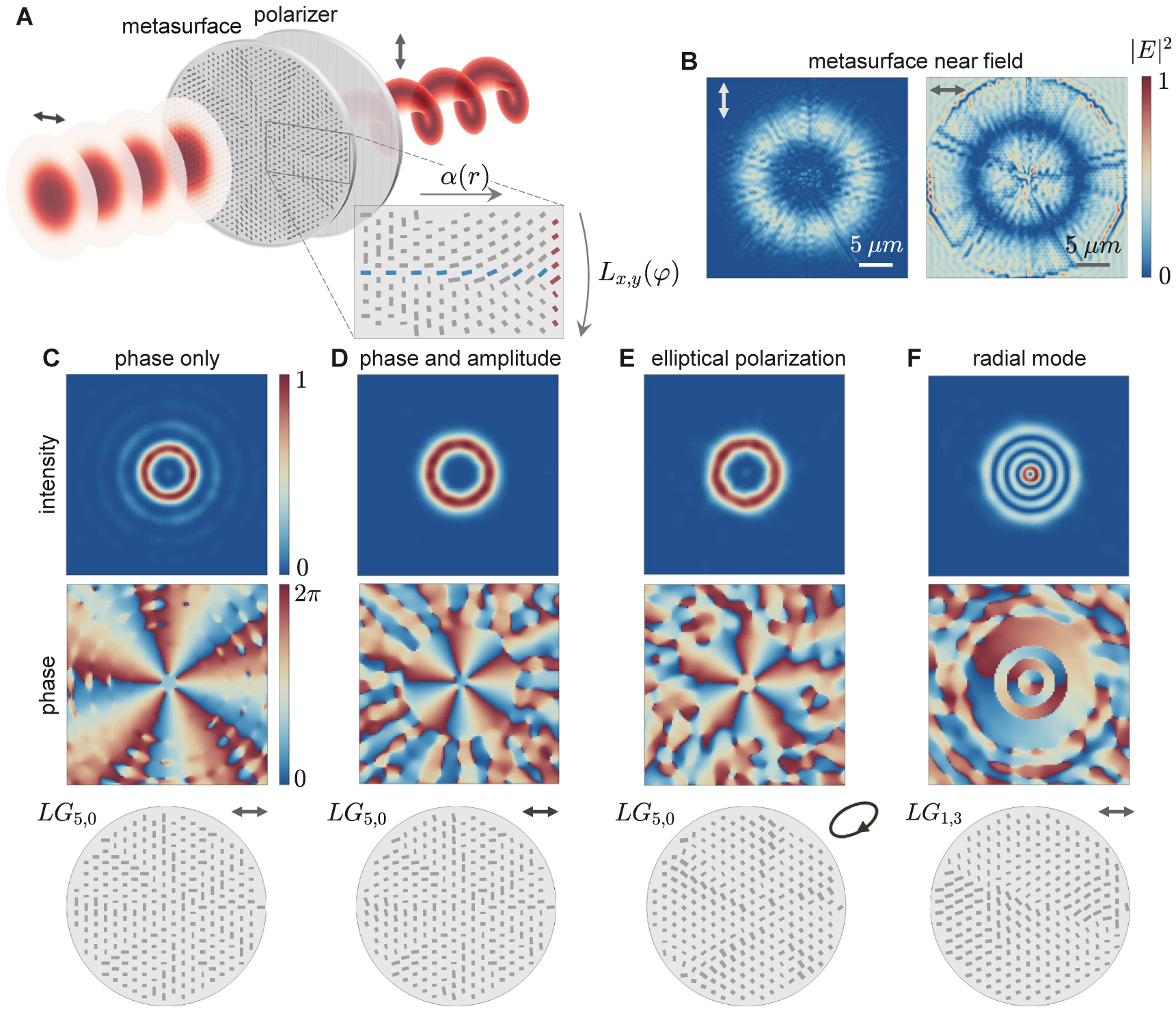 Figure 2: Pure vortex generation from a single metasurface.(A) Schematic of the system implementation for pure vortex generation. An input wave of known amplitude, phase, and polarization, here represented as a linearly polarized Gaussian beam, propagates through the metasurface and polarizer and exits as a pure vortex beam. The angles of the nanopillars along the radial directions α(r)$\alpha \left(r\right)$ define the amplitude mask of the metasurface, while their rectangular dimensions set the azimuthal phase profile Lx,y(φ)${L}_{x,y}\left(\varphi \right)$ of the beam. (B) Near-field intensity maps obtained by finite-difference time-domain (FDTD) simulations for a metasurface generating an LG5,0 mode. Only the vertically polarized component (left) is transmitted through the polarizer. (C–F) Far-field intensity and phase distributions obtained by FDTD simulations for different structures: (C) a phase-only metasurface generating a superposition of radial modes; (D–F) phase and amplitude metasurfaces generating pure vortex beams for different input and output states. In all cases, the bottom row shows the central area (10-μm diameter) of the metasurface structures, the target Laguerre–Gaussian beam, and the input polarization state (either linear or elliptical).