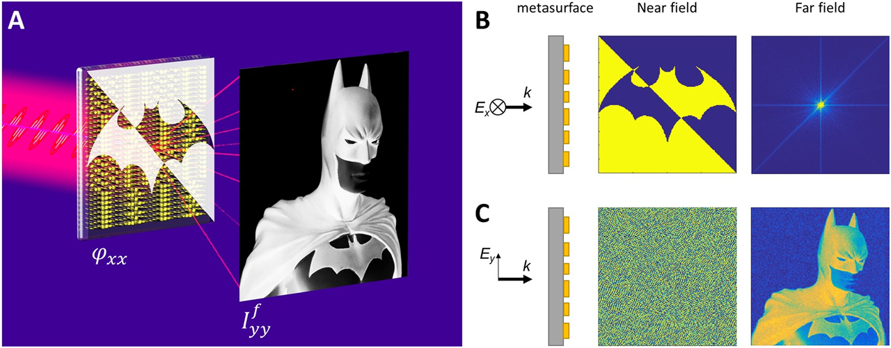 Figure 1: Design principle of dual-mode encryption combining near-field phase imaging and far-field holographic image projection. (A) Schematic of the dual-mode encryption, in which the near field is encrypted by a phase imaging of “Bat” and the far field is encrypted by a holographic image of “Batman.” (B) Metasurface under x-polarized incidence (left panel). A phase imaging of “Bat” is retrieved by extracting the metasurface spatial phase distribution (middle panel). A random intensity profile is displayed in the far field (right panel). (C) Metasurface under y-polarized incidence (left panel). Complex holographic phase imaging is observed (middle panel). A holographic image of “Batman” is observed in the far field (right panel). “Bat” and “Batman” images are adapted from Wikemedia.org and Pexels.com, respectively.