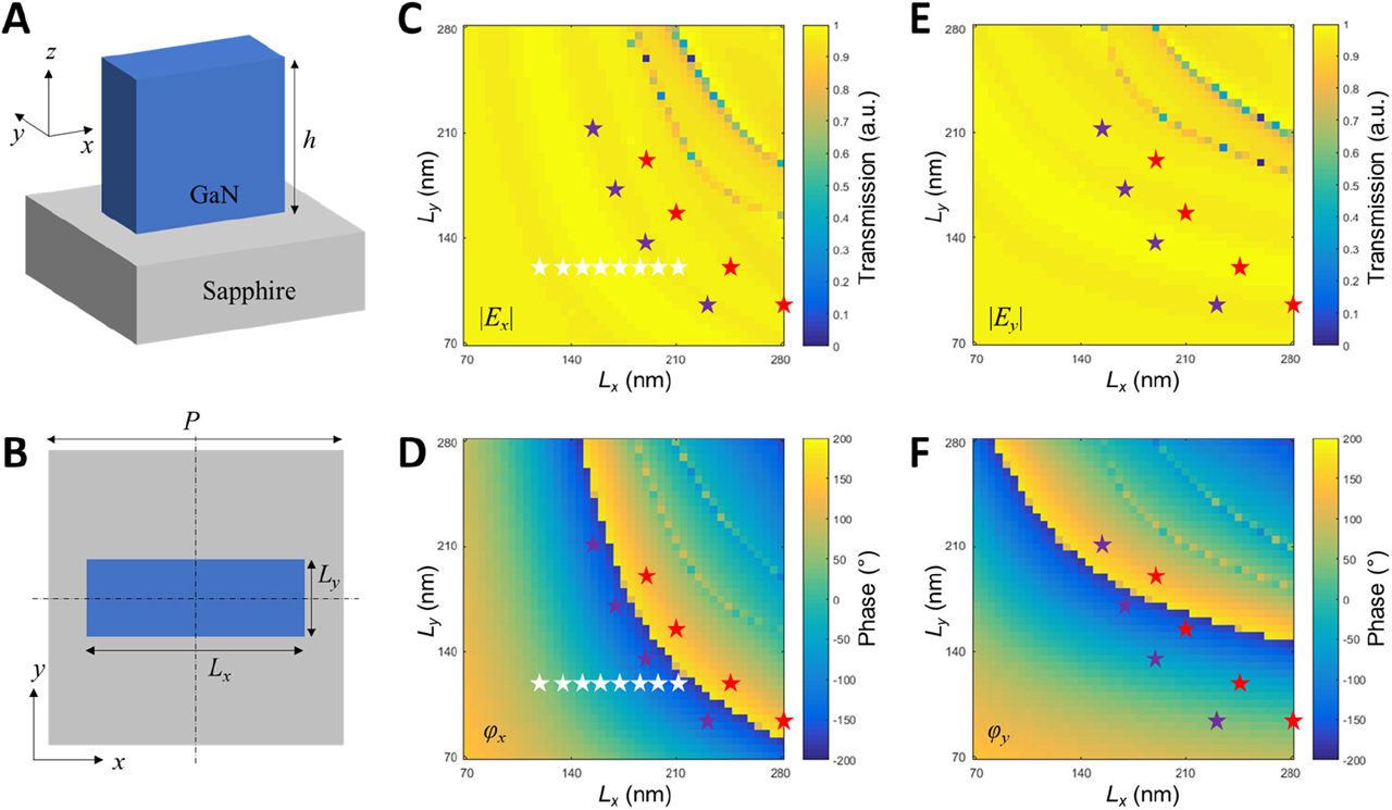 Figure 2: Simulation results of metasurface consisting of GaN nanopillars on sapphire substrate. (A) Perspective view and (B) top view of the metasurface with one meta-molecule. (C) Simulated amplitude and (D) phase of the transmission with x-polarized incidence. (E) Simulated amplitude and (F) phase of the transmission with y-polarized incidence by changing the size of the GaN blocks. The white stars are the selected structures for the design of SC-MS. The purple and red stars are selected for the design of DC-MS. DC-MS: dual-channel metasurface; SC-MS: single-channel metasurface.