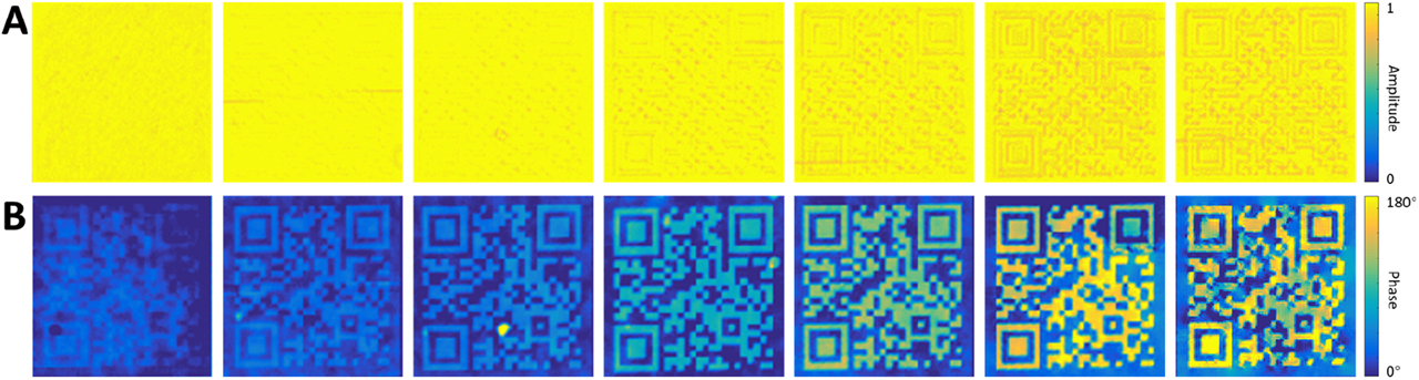Figure 4: Experimental results of binary QR codes using SC-MS. (A) Amplitude and (B) phase images measured by QLSI. From left to right panels, the expected binary phase contrast values are 5°, 15°, 30°, 60°, 90°, 135°, and 180° (all the phase images have the same scale of 0–180°). The QR code is designed to link the CNRS-CRHEA website (www.crhea.cnrs.fr). The phase images with binary phase contrast ≥15° can be redirected to the CNRS-CRHEA website when scanned by a portable QR code scanner, and it starts to fail for extremely small phase contrast below 5°. The size of the QR code is 174 × 174 μm. QLSI: quadriwave lateral shearing interferometry; QR: quick response; SC-MS: single-channel metasurface.