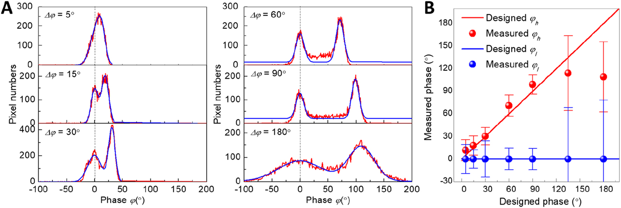 Figure 5: (A) Pixel-by-pixel histogram of the measured phase images for the different designed phase contrast of 5°, 15°, 30°, 60°, 90°, and 180°. Red curve: measured results. Blue curve: fitting curves based on two Gaussian functions. (B) The measured phase and standard deviation of binary phase imaging.