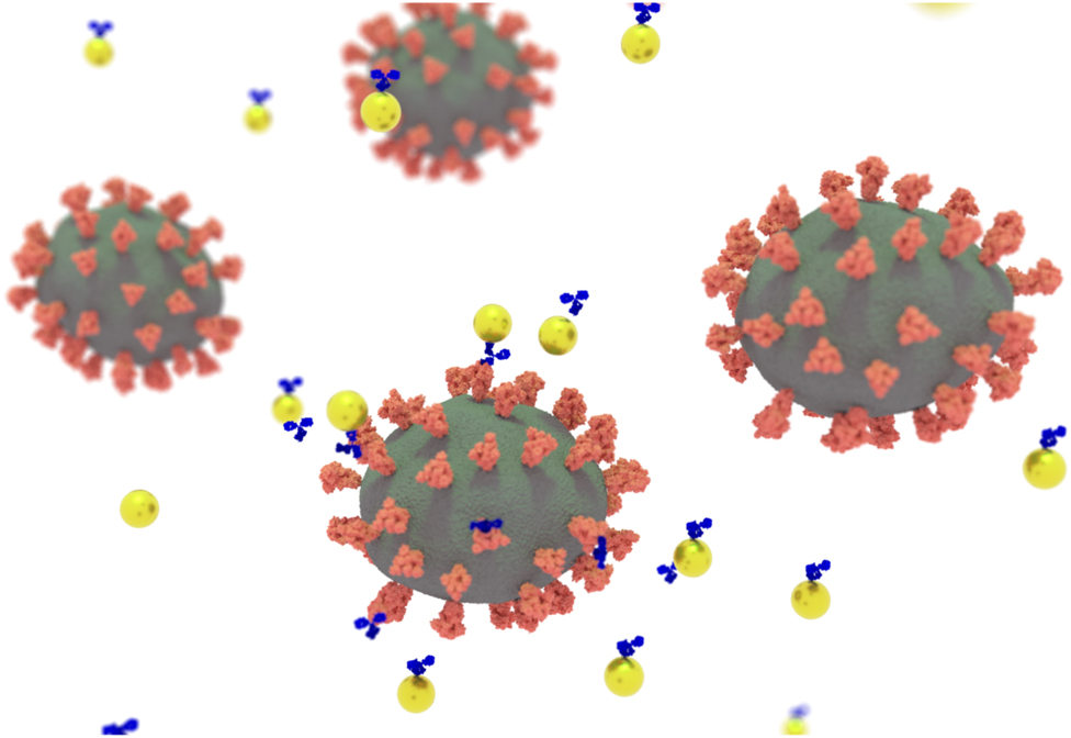 Figure 1: The virion (green) with red spikes, gold nanoparticles (gold) and the antibodies against Severe Acute Respiratory Syndrome-Corona Virus-2 (SARS-CoV-2) (blue). The virion is approximately 100 nm in diameter, the gold nanoparticles are about 40 nm in diameter, and the antibodies are about 10 nm in diameter, respectively.