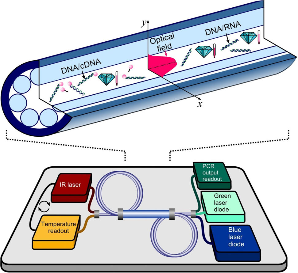 Figure 6: A photonic credit-card-size platform for rapid-cycle real-time polymerase chain reaction (qPCR) and reverse-transcription qPCR.