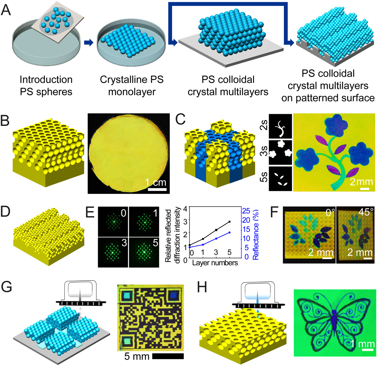 Figure 2: (A) Fabrication schematic of polystyrene sphere multilayer templates on flat and patterned surfaces. (B, C) Schematic (left) and photograph (right) of SIO (B) and patterned SIO (C). (A, B, C) Reproduced from Ref. [9]. Copyright 2017, WILEY-VCH Verlag GmbH & Co. (D) Schematic of hierarchical inverse opal assembled on a diffraction grating; (E) reflected diffraction patterns (left) of hierarchical opals assembled on pattern generators with different layers of inverse colloidal crystals (from 0 to 5) and corresponding relative diffraction and absolute reflection intensity as a function of layers number (right). (F) Photographs of hierarchical opal with a multicolor tree pattern observed at 0o and 45°. (D, E, F) Reproduced from Ref. [31]. Copyright 2018, WILEY-VCH Verlag GmbH & Co. (G) Fabrication schematic (left) of patterned polystyrene multilayer template by depositing ethyl acetate on the structure using inkjet printing and photograph (right) of a multispectral SIO QR code. (H) Fabrication schematic (left) of patterned SIO by depositing MeOH/water mixture on SIO using inkjet printing and photograph (right) of SIO with a butterfly pattern. (G, H) Reproduced from Ref. [20]. Copyright 2019, WILEY-VCH Verlag GmbH & Co.