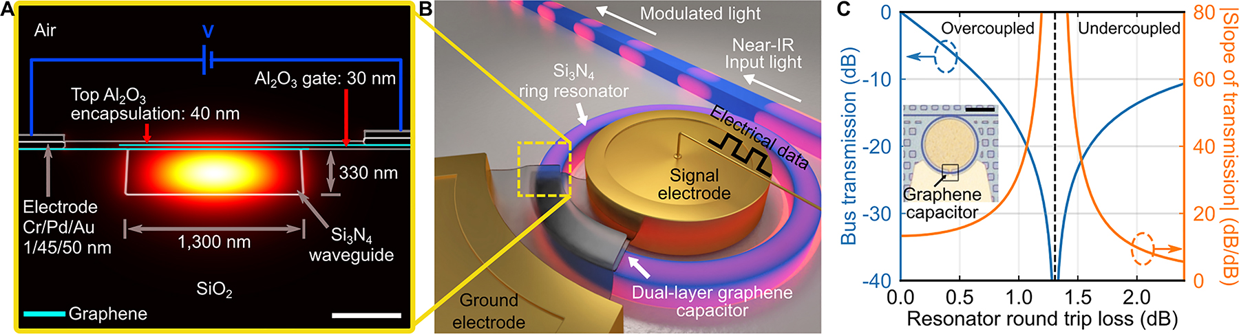 Figure 1: Graphene electro-absorption modulator design and resonator loss modulation at critical coupling. (A) The graphene modulator consists of a dual-layer graphene capacitor on top of a Si3N4 waveguide. The capacitor consists of two graphene sheets (cyan solid lines) separated by a 30 nm Al2O3 gate dielectric (white solid lines are boundaries for Al2O3 gate dielectric, Si3N4 waveguide, and metals). The top graphene sheet is cladded with 40 nm Al2O3. The Si3N4 waveguide (1300 nm by 330 nm) is designed to ensure significant overlap between the fundamental quasi-TE mode and graphene capacitor via evanescent wave. By applying voltage between the graphene sheets, we electrostatically gate them and induce Pauli-blocking, suppressing interband transitions of carriers in graphene sheets and reducing optical absorption and mode propagation loss. White scale bar, 200 nm. (B) The graphene capacitor is embedded in a ring resonator to enhance graphene–light interaction while reducing footprint and capacitance for maximum bandwidth. (C) Simulated transmission (blue curve, left axis) and slope of transmission (orange curve, right axis) with respect to resonator round trip loss. To achieve strong modulation even with small voltage swing and small capacitance, we modulate resonator loss near critical coupling shown as dashed vertical line. The transmission is most sensitive (i.e., largest slope) when the resonator is near critical coupling. We, therefore, design the resonator–bus coupling gap (around 180 nm) to be near critical coupling. The modulator transitions from being critically coupled to overcoupled as graphene absorption is modulated from high to low, respectively. Inset: An optical micrograph of the fabricated device showing the waveguide and ring resonator, false-colored in blue. The two electrodes for the graphene capacitor are shown in yellow. Boxed region indicates where the graphene capacitor is placed with 5-µm device length around the ring with 40 µm radius. Squares around the device are fill patterns for chemical mechanical planarization. Black scale bar, 40 µm.
