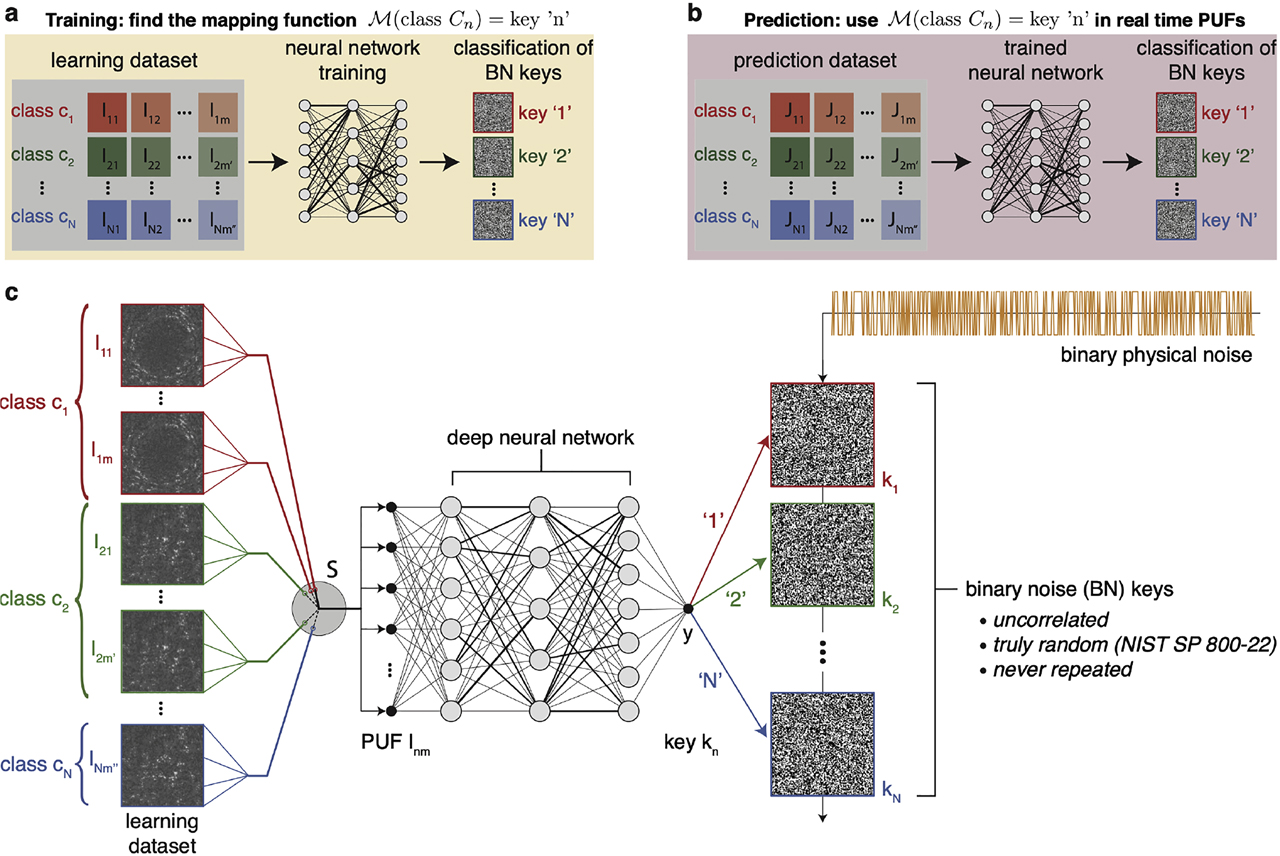 Figure 2: Two-step random key generation via deep learning.(a–b) Overall process for the training (a) and prediction (b) of key classification and association with PUFs. (c) Detailed schematic workflow of the training procedure: a switch S selects a PUF Inm at the input belonging to single classes cn (red, green, and blue colors). Each class is mapped by a deep neural network to a different integer number n = 1, …, N at the output y, with each number identifying a binary noise (BN) key kn. The space of different keys is generated independently by first sampling binary noise (orange solid line) and then splitting the random sequence into consecutive keys k1, k2, …, kN of equal length. The prediction stage (b) employs the trained neural network of (a) in real-time to associate the keys with PUF images Jmn acquired in different experiments under the same input conditions of Imn and subjected to experimental fluctuations of input parameters. PUF, physical unclonable function.