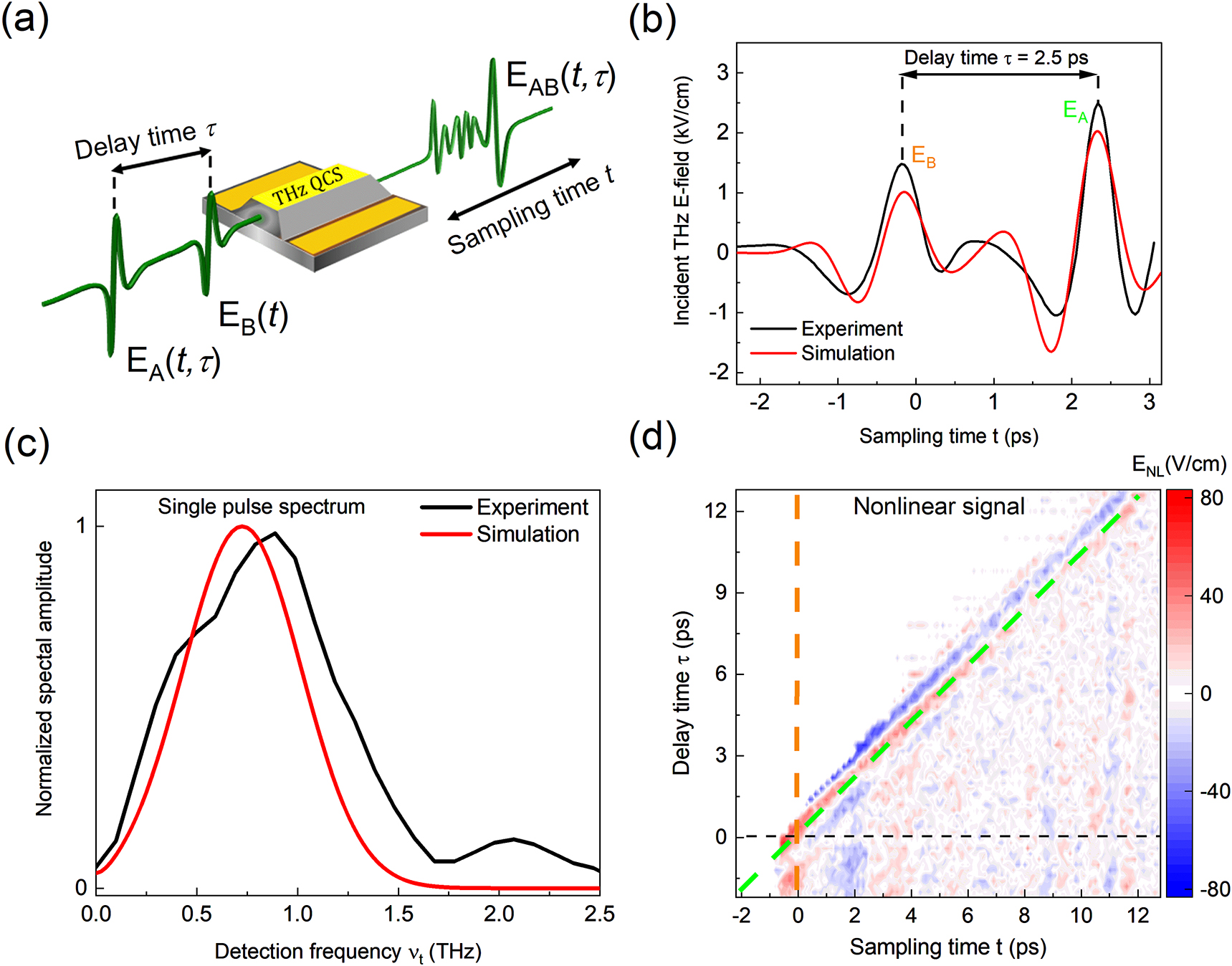 Figure 1: (a) Schematic of the experimental setup showing a collinear pulse geometry used to perform a 2D-THz spectroscopy on quantum cascade structure (QCS). (b) THz electric filed amplitude of pulses A and B separated by a time delay τ = 2.5 ps before coupling in to the quantum cascade wave guide. Black curve represent the experimental pulses while the red curve shows the pulses used in the simulation. (c) Spectra of a single experimental and simulation pulse. (d) Nonlinear signal extracted from the pulse sequence measurements: ENL(t,τ)=EAB(t,τ)−EA(t,τ)−EB(t)${E}_{\text{NL}}\left(t,\tau \right)={E}_{\text{AB}}\left(t,\tau \right)-{E}_{\text{A}}\left(t,\tau \right)-{E}_{\text{B}}\left(t\right)$. The green and orange dashed lines indicate the position of the driving fields A and B, respectively. The dashed horizontal line is a guide to the eye for τ = 0 ps.