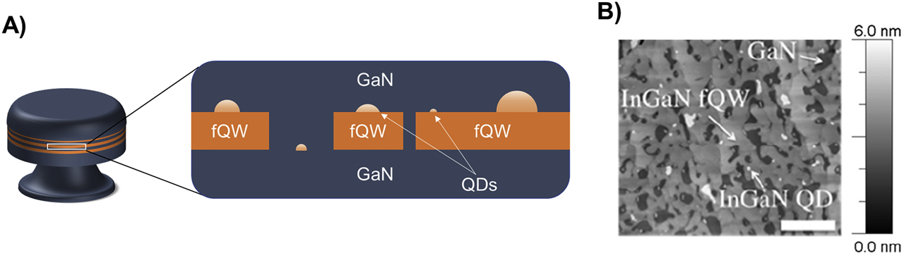 Figure 1: Our microdisk platform.(A) Schematic of a 1-μm-diameter microdisk laser with three layers of InGaN active material. Inset shows one layer of InGaN fQWs and QDs, showing how QDs form on the fQWs and underlying GaN. (B) An atomic force microscopy (AFM) image of active material, specifying GaN, InGaN fQW, and InGaN QD regions. Taken from the study by Woolf et al. [32]. Scale bar is 500 nm in length, and vertical color scale goes from 0 to 6 nm. QD, quantum dot; fQW, fragmented quantum well; InGaN, indium gallium nitride.