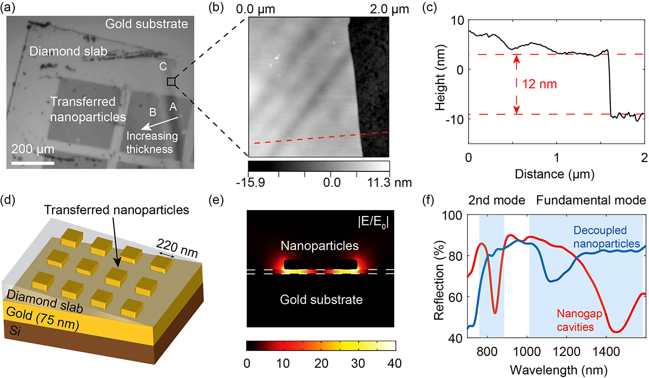 Figure 1: (a) Optical image of the sample. Area A: transferred nanoparticles on ∼12 nm diamond, forming nanogap cavities; area B: transferred nanoparticles on ∼200 nm diamond, forming decoupled nanoparticles; area C: diamond on gold. (b) Atomic force microscopy (AFM) image of the area in (a) delineated by the square. (c) Height profile along the red, dashed line in (b). (d) Schematic of the sample structure: a thin diamond wedge is sandwiched in between a 75 nm evaporated gold film and electron beam lithography (EBL)–fabricated gold nanoparticles with a height of 30 nm. (e) Simulated electric field enhancement distribution of nanogap cavities at 1455 nm. (f) Measured reflection spectra from nanogap cavities (red) and decoupled nanoparticles (blue).