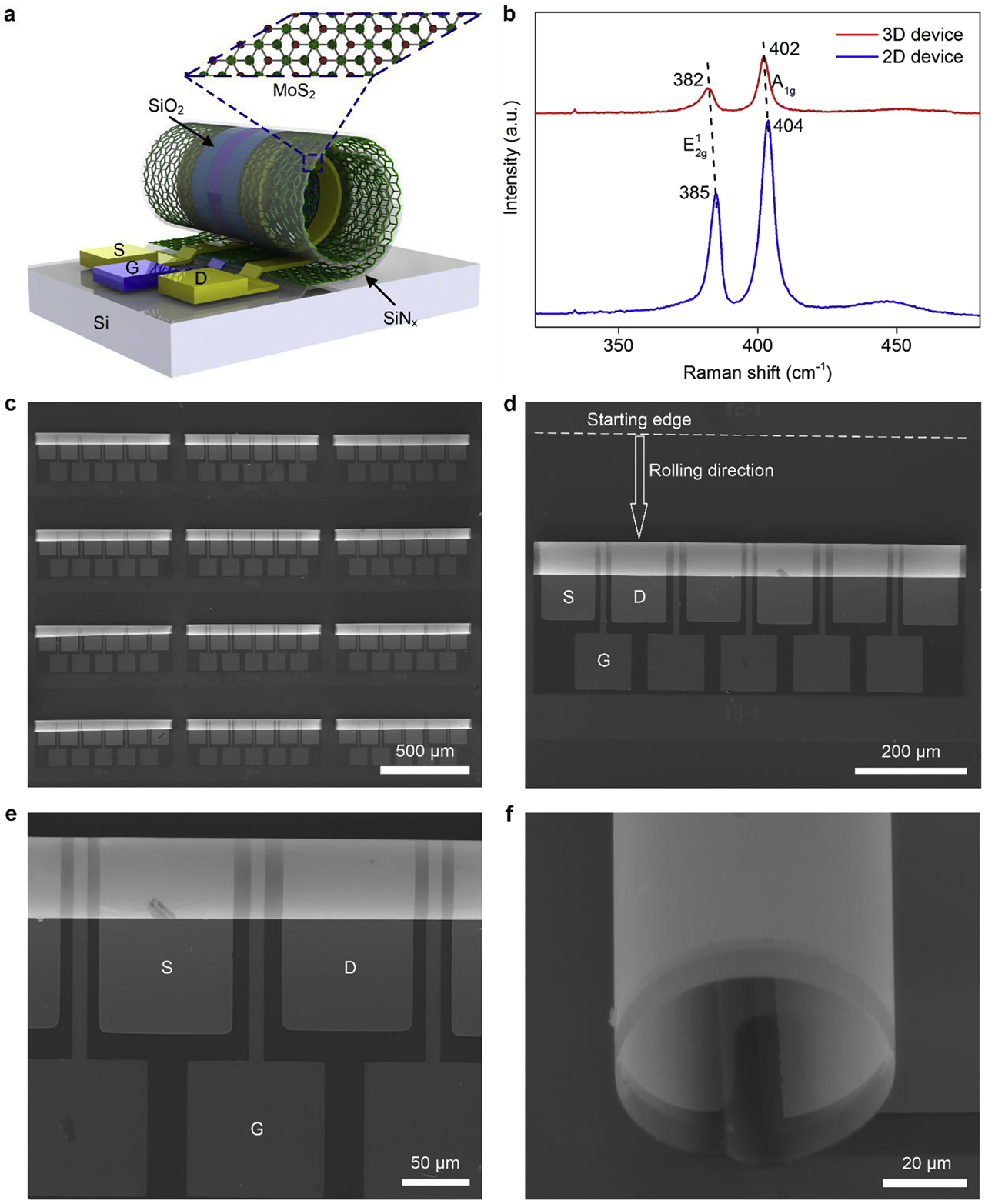 Figure 1: The 3D tubular MoS2 FETs. (a) Schematic 3D view of the tubular MoS2 FET; (b) Raman spectra of the 3D MoS2 FET and 2D MoS2 FET; (c) the array of 3D MoS2 FET microtubes; (d) the SEM microimage of a 3D MoS2 FETs microtube; (e) the zoomed-in image of the 3D MoS2 FET; (f) the side view of a 3D MoS2 FET with one rolled-up winding. 2D, two-dimensional; 3D, three-dimensional; FET, field-effect transistor; MoS2, molybdenum disulfide.