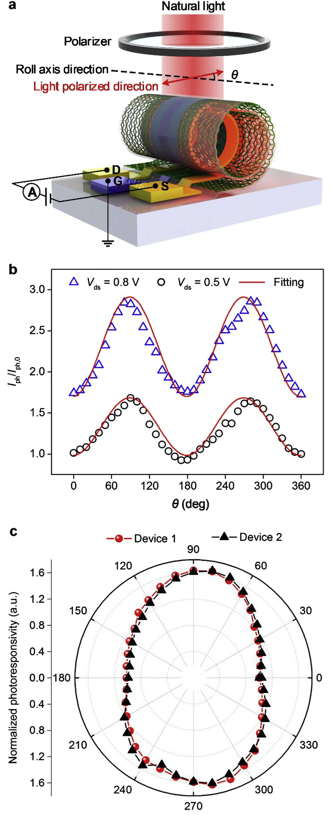 Figure 6: The polarized light–dependent photoresponse of the 3D MoS2 FETs. (a) The schematic diagram of the polarization detection; the polarization angle (θ) is defined as the angle between the incident light polarized direction and the axis direction of MoS2 roll. (b) Polarization dependence of the photocurrent for the 3D MoS2 FET under different source–drain bias voltages, where Iph,0 represents the photocurrent measured at the polarization angle of 0°. (c) The relationship between the polarization angle and normalized photoresponsivity of the 3D MoS2 FET photodetector in polar coordinates. 3D, three-dimensional; FET, field-effect transistor; MoS2, molybdenum disulfide.