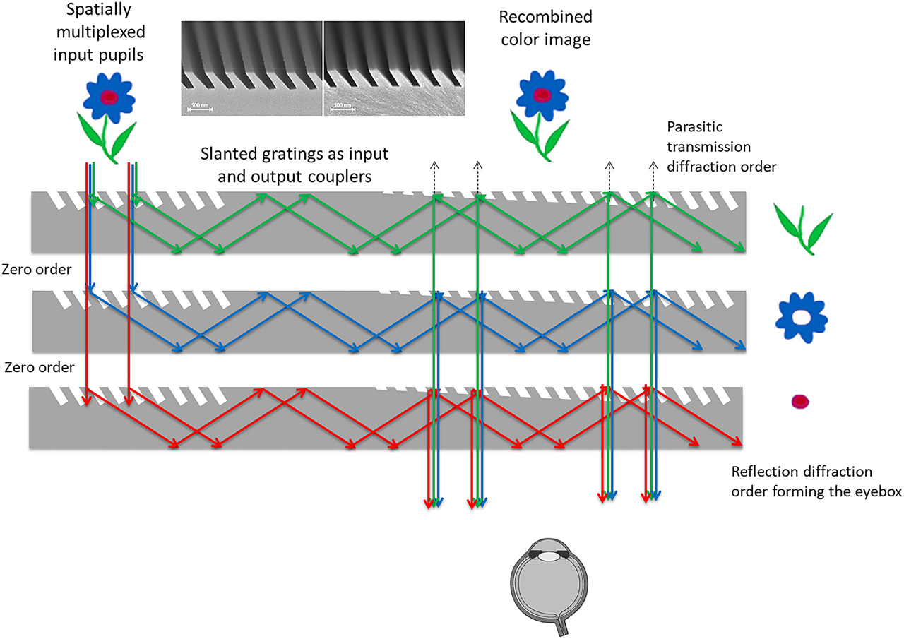Figure 13: Spatially color-multiplexed input pupils with slanted gratings as in-couplers and out-couplers working in transmission and reflection mode (HoloLens 1 MR headset).