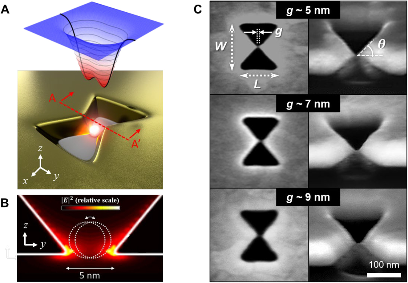Figure 1: 3D plasmonic nanoantenna. (A) Schematic of particle trapping in the 3D antenna. Two focused lights inside the metal gap induced a double-well potential and enabled the trapping of a nanoparticle smaller than 5 nm. 3D surface graph represents the optical potential energy, and a black line is a cross-sectional profile in the yz-plane at the center of the nanoantenna. (B) |E|2 distribution in the yz-plane along the line A-A′ when the 1560-nm wavelength y-polarized beam came from the bottom. Two stable positions of a nanoparticle (white dotted line) were depicted. The resonant mode of the nanoantenna was 1560 nm in water. (C) Scanning electron microscope images of the top and 52°-tilted views of the fabricated 3D plasmonic nanoantenna in the 100-nm-thick Au film on the glass substrate. The central gap size was measured to be approximately 5, 7, and 9 nm, respectively. The length, width, and vertical taper angle were 200 nm, 160 nm, and 65°, respectively.