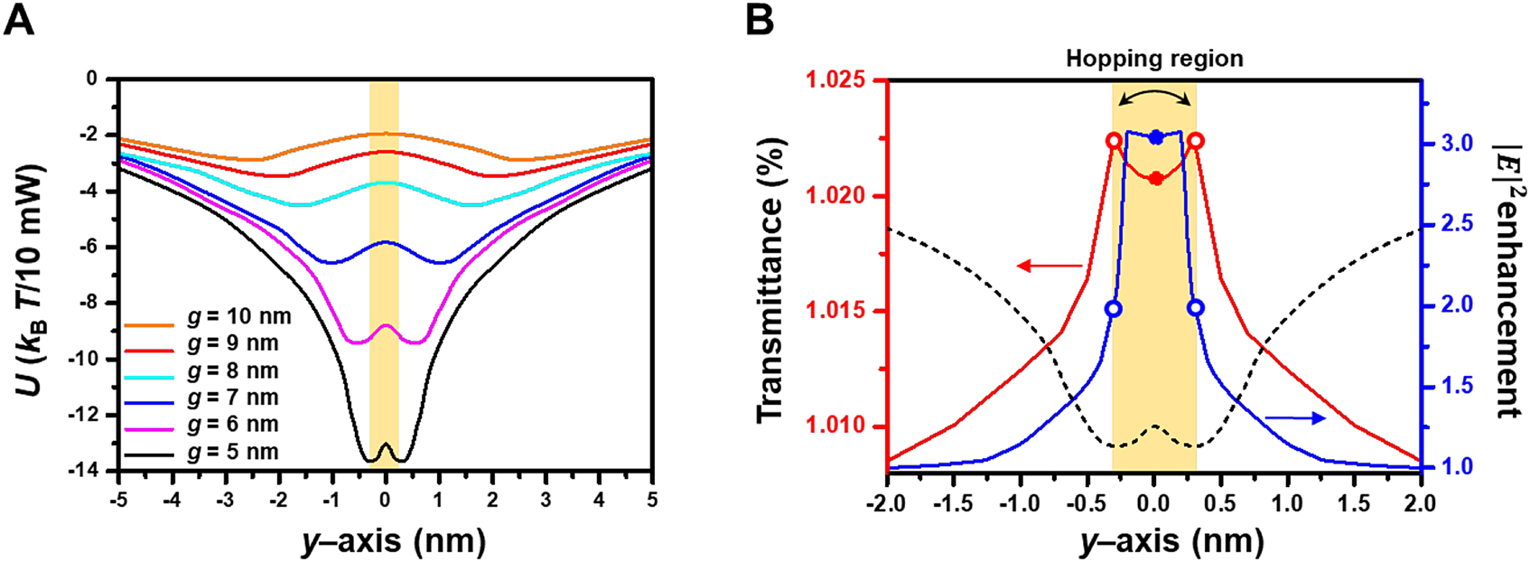 Figure 2: Double-well potential profile in 3D plasmonic nanoantenna.(A) Calculated optical potential energy (U) for a 4-nm-diameter QD moving along the y-axis for various metal gap sizes. Here, the incident CW laser power was 10 mW. The yellow area represents the hopping region of a nanoparticle in a 5-nm-gap nanoantenna. (B) Transmittance (red solid line) and electric field intensity enhancement (blue solid line) as a function of the QD position for a 5-nm-gap nanoantenna. A black dotted line is the potential profile.