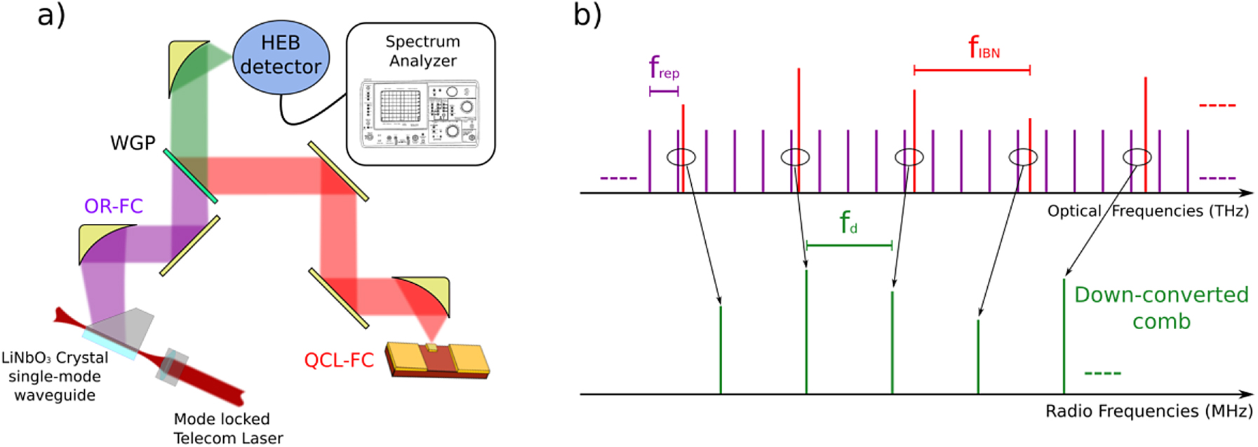 Figure 4: (a) Representation of the multiheterodyne detection scheme: the optically rectified (OR) and quantum cascade laser (QCL) frequency comb (FC) beams are superimposed by means of a wire grip polarizer (WGP) and mixed on a fast hot-electron bolometer (HEB) detector. (b) Sketch of the downconversion process: the two combs, with different modes spacing (frep: repetition rate of the OR FC and fIBN, frequency of the QCL’s intermodal beatnote), close to an integer ratio, are downconverted into a radio frequency comb.