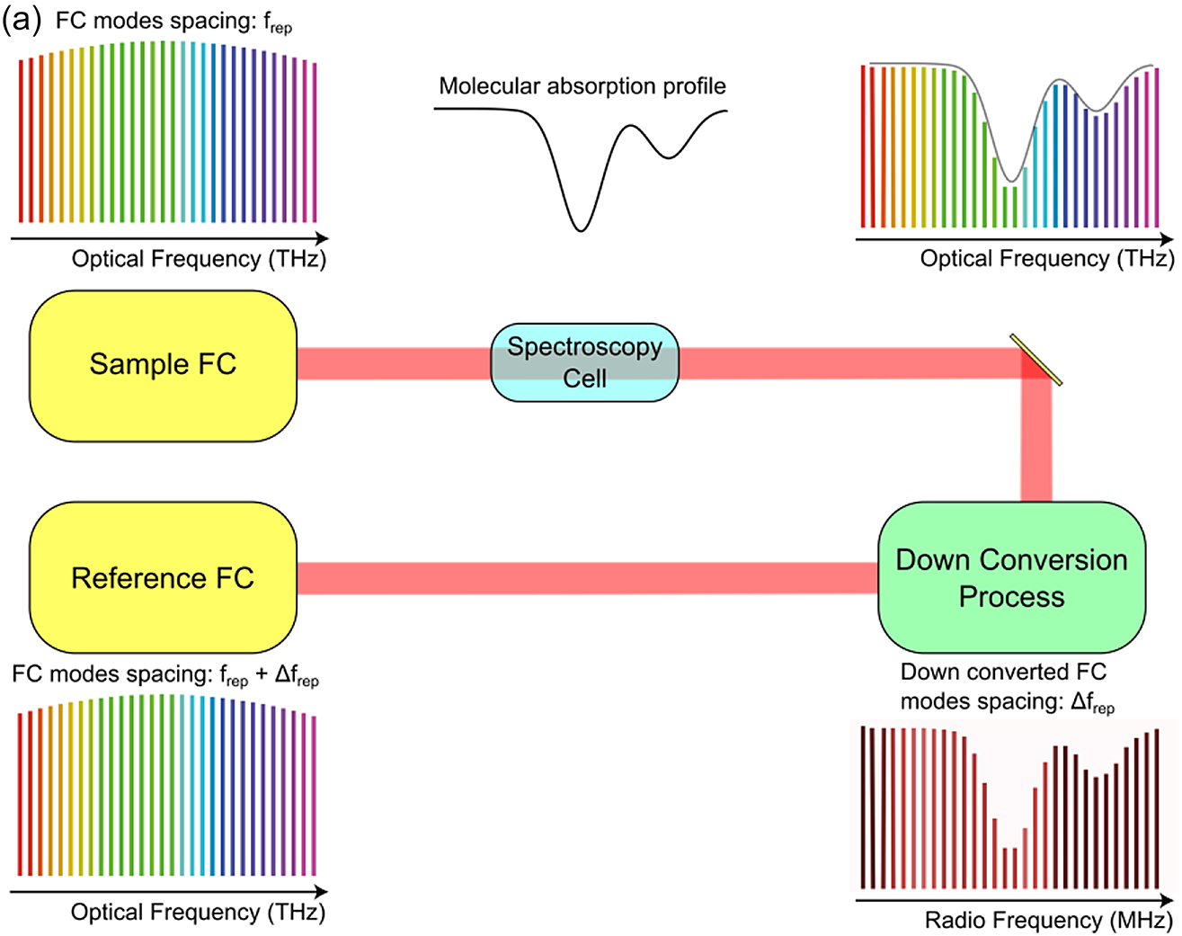 Figure 5: (a) Schematic representation of a generic dual-comb spectroscopy setup. A sample frequency comb (FC) with repetition rate frep interrogates a molecular sample inside a spectroscopy cell. The molecular information is encoded in the sample FC and is downconverted to radio frequencies, thanks to multiheterodyne mixing with a reference FC with slightly different repetition rate frep + Δfrep.