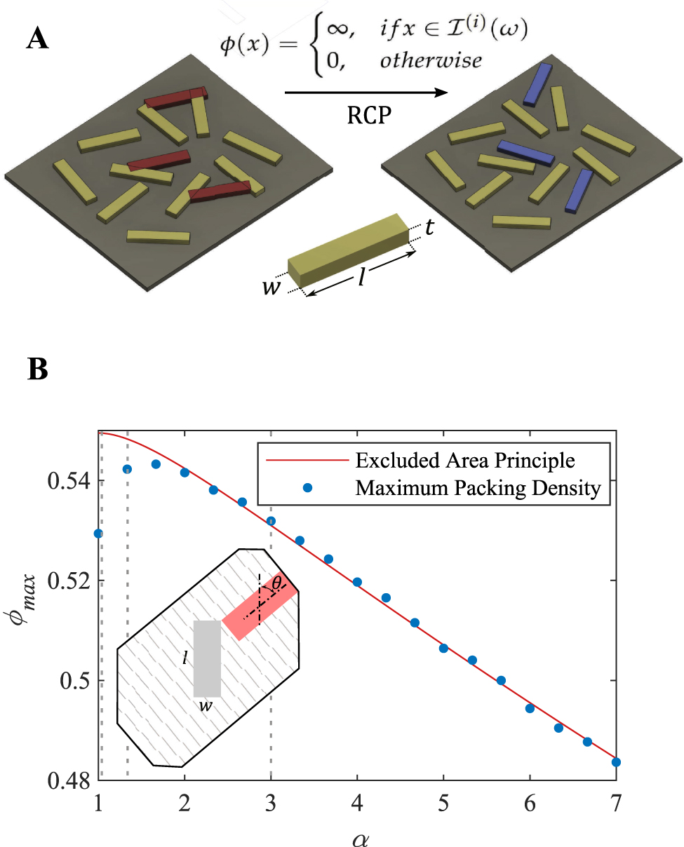 Figure 1: Random close packing of hard rectangles:(A) illustration of the collective rearrangement packing protocol with ϕ(x)$\phi \left(x\right)$ as the interaction potential and I(i)(ω)${I}^{\left(i\right)}\left(\omega \right)$ is the indicator function of phase i in realization ω$\omega $ and (B) is the computed maximum packing density (ϕmax)$\left({\phi }_{\mathrm{max}}\right)$ as a function of the aspect ratios (α)$\left(\alpha \right)$. The blue dots represent the simulated data, and the red curve is a fitting line based on the excluded area principle given by Eq. (1) with c1 = 0.047 and c2 = 1.725. The inset illustrates the excluded area of a rectangle of length l and width w with another identical rectangle with a relative tilt θ$\theta $.