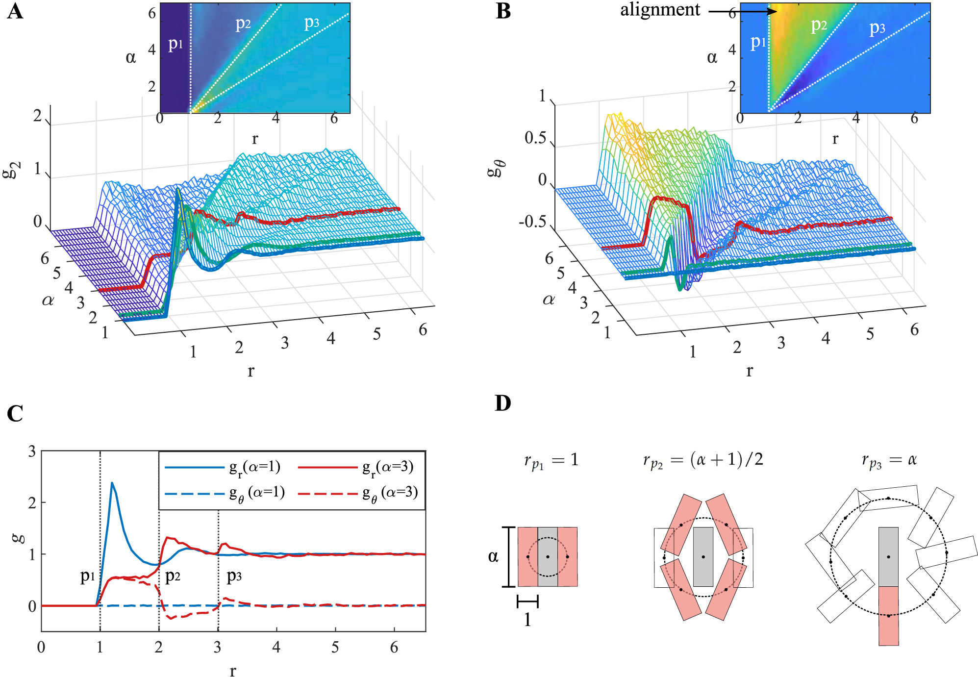Figure 2: Point process analysis of maximally random packed rectangles:(A) radial pair correlation functions g2(r,α)${g}_{2}\left(r,\alpha \right)$ given by Eq. (2) and (B) orientational correlation function gθ(r,α)${g}_{\theta }\left(r,\alpha \right)$ given by Eq. (3). Three different aspect ratios are highlighted on both surfaces with different colors; the blue line corresponds to α=1$\alpha =1$, green to α=1.3$\alpha =1.3$, and red to α=3$\alpha =3$. The insets on both surfaces correspond to a top view perspective with three important features highlighted by p1, p2, p3 lines. (C) A cross sectional plot of g2 and gθ${g}_{\theta }$ surfaces at α=1$\alpha =1$ and α=3$\alpha =3$ and (D) geometrical illustration of the origin of p1, p2, p3 lines, respectively. For each configuration, the dashed circle with radius rpi represents the shortest distance between rectangles’ center for overlap to be avoided.