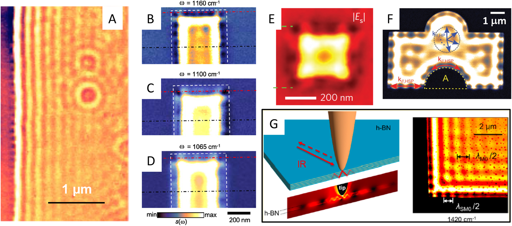 Figure 3: Interior and edge polaritons in van der Waals quantum materials.Panel A: charge transfer plasmon polaritons at the interface of graphene and a-RuCl3 visualized by means of nanoinfrared methods (ω = 898 cm−1, T = 60 K). Three types of plasmonic fringes are observed: (i) edge plasmon polaritons (dark spots at along the physical boundary of graphene crystal), (ii) interior plasmon polaritons (oscillating wave pattern emanating from the boundary of graphene on the left), and (iii) defect-launched plasmon polaritons forming circular patterns in the interior of the sample. Adapted from a study by Rizzo et al. [68]. Panels B–D: nano-IR imaging of edge plasmons on graphene nanoribbons. White dashed lines mark the boundaries of the crosscut GNR. Adapted from a study by Fei et al. [126]. Panel E: nanoinfrared image of edge plasmons in a square sample of graphene. Adapted from a study by Nikitin et al. [128]. Panels F: nanoinfrared images of edge phonon polaritons in the 25-nm-thick slab of hBN. Adapted from a study by Dai et al. [114]. Panel G: edge and interior phonon polaritons in a 40-nm-thick slab of hBN [127].