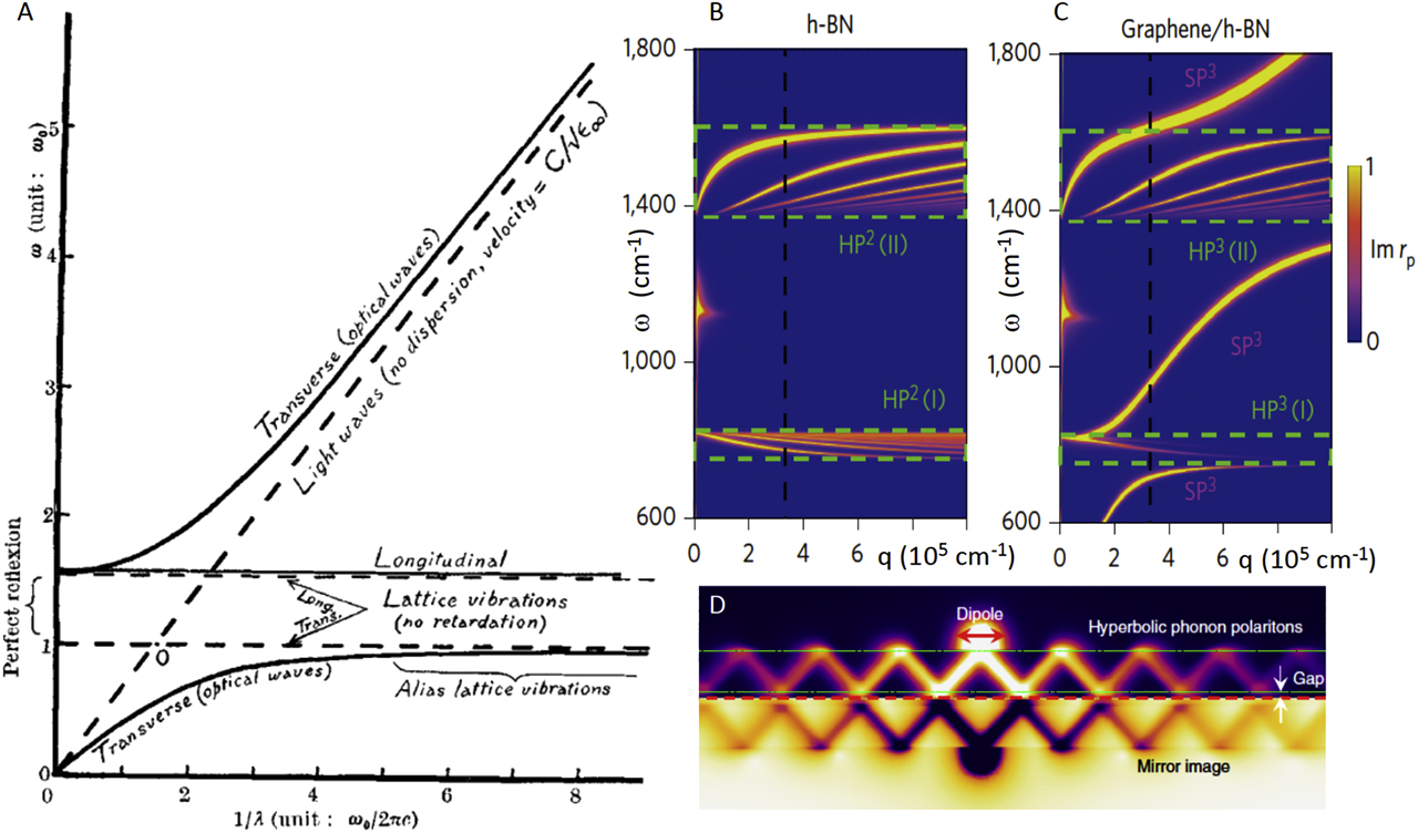 Figure 5: Phonon polaritons, hybrid plasmon–phonon polaritons, and image polaritons.Panel A: dispersion of phonon polaritons in ionic crystals predicted by Huang (in a study by Sun et al. [175]). In the original publication, Huang did not use the term polariton. Panel B: calculated dispersion of the hyperbolic phonon polaritons in hBN (HP2). Panel C: calculated dispersion of the hyperbolic phonon polaritons in h-BN coupled to plasmon polaritons in the graphene layer and forming hyperbolic plasmon–phonon polaritons (HP3) and surface plasmon–phonon polaritons (SP3). Adapted from a study by Bezares et al. [212]. Panel D: concept of image polaritons at the interface of hBN and a metal. From a study by Yoo et al. [36].