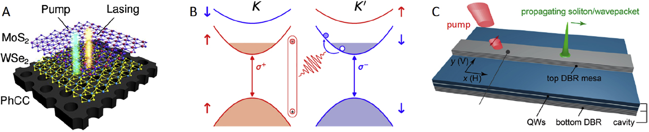 Figure 10: Panel A: schematic of MoS2/WSe2 heterobilayer nanolaser integrated in photonic crystal cavity [402]. Panel B: polaron–polaritons in TMDC semiconductors. Schematic to illustrate the conduction and valence band structure and optical selection rules of monolayer MoSe2 close to the K and K′ points. An exciton in the K valley interacts with conduction band electron–hole pairs in the Fermi sea of the K′ valley to form an intervalley polaron. From a study by Bing Tan et al. [468]. Panel C: experimental setup for the exploration of propagating solitons in the system of microcavity exciton polaritons [469].