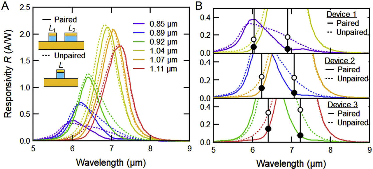 Figure 6: A) Experimental unpolarized R of paired quantum well infrared photodetector (QWIP) stripes from dual-band devices (solid) and unpaired QWIP stripes with identical L (dotted). One period of each structure is shown schematically for comparison. An unpaired QWIP stripe with L =0.93 5m is shown to be compared with the paired QWIP stripe with L1 = 0.92 5m due to lack of an unpaired QWIP stripe at the exact dimensions. B) Close-up of A) for respective devices. Non-resonant R in paired QWIPs around their counterpart's resonance wavelength (black vertical lines). Black filled circles indicate values of experimental non-resonant R in paired QWIP stripes. Black unfilled circles indicate values of non-resonant R corresponding unpaired QWIP stripes (dotted lines). All experimental R is calibrated, thus independent of the device area.